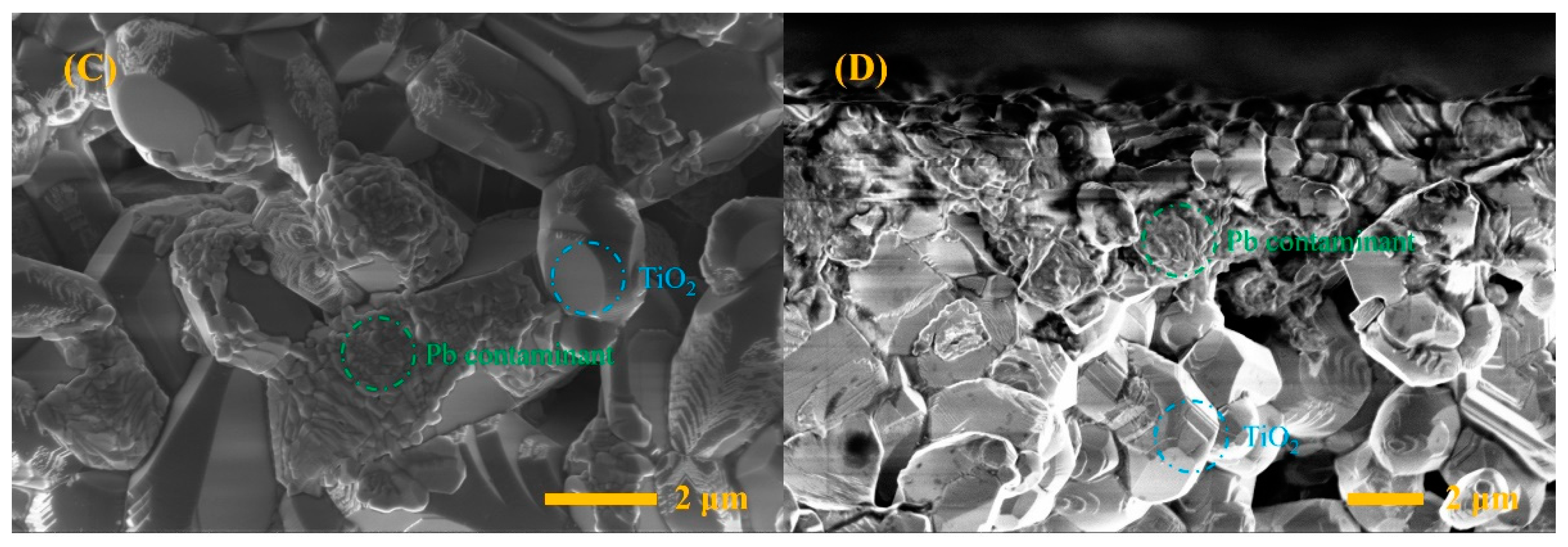 Micromachines 14 00156 g003b