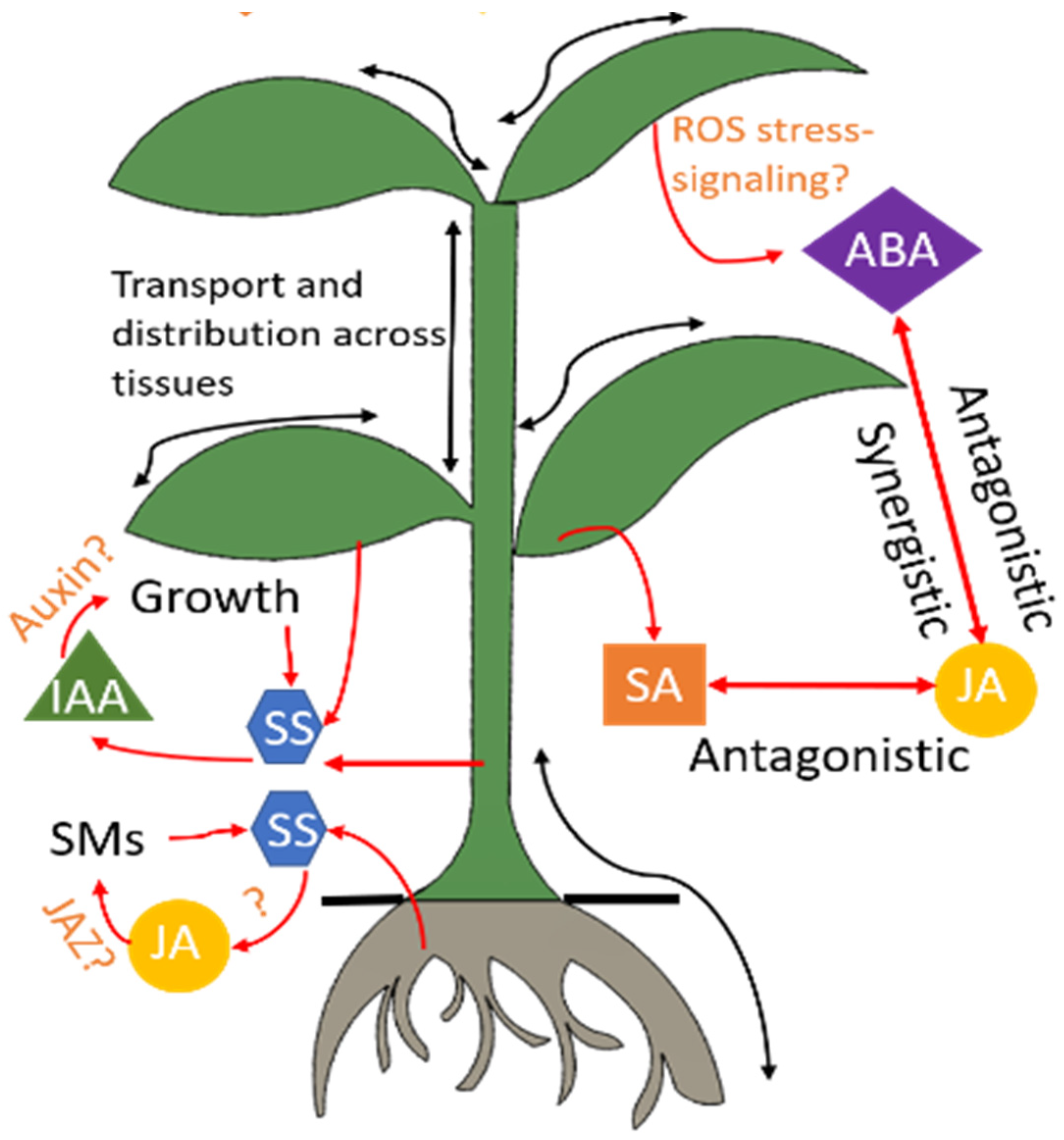 Micromachines 14 00195 g002