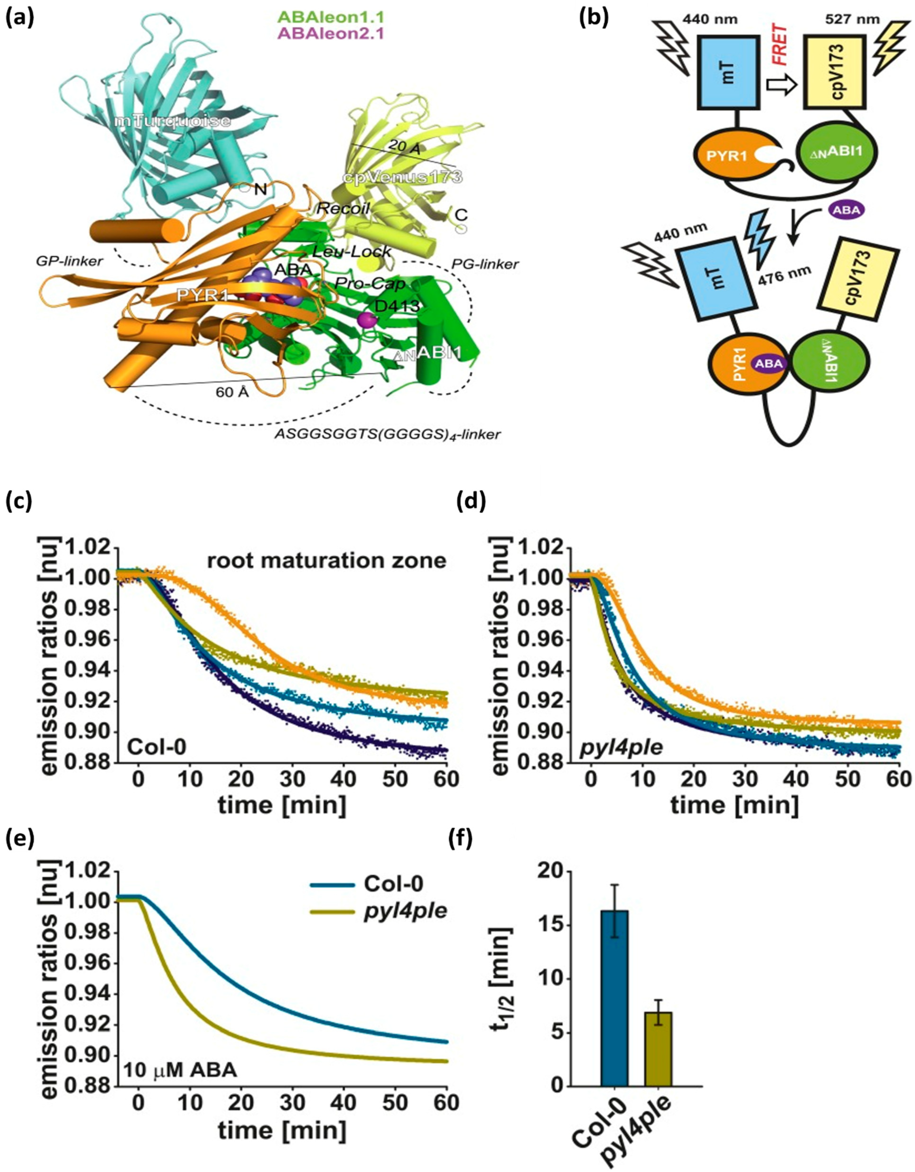 Micromachines 14 00195 g006