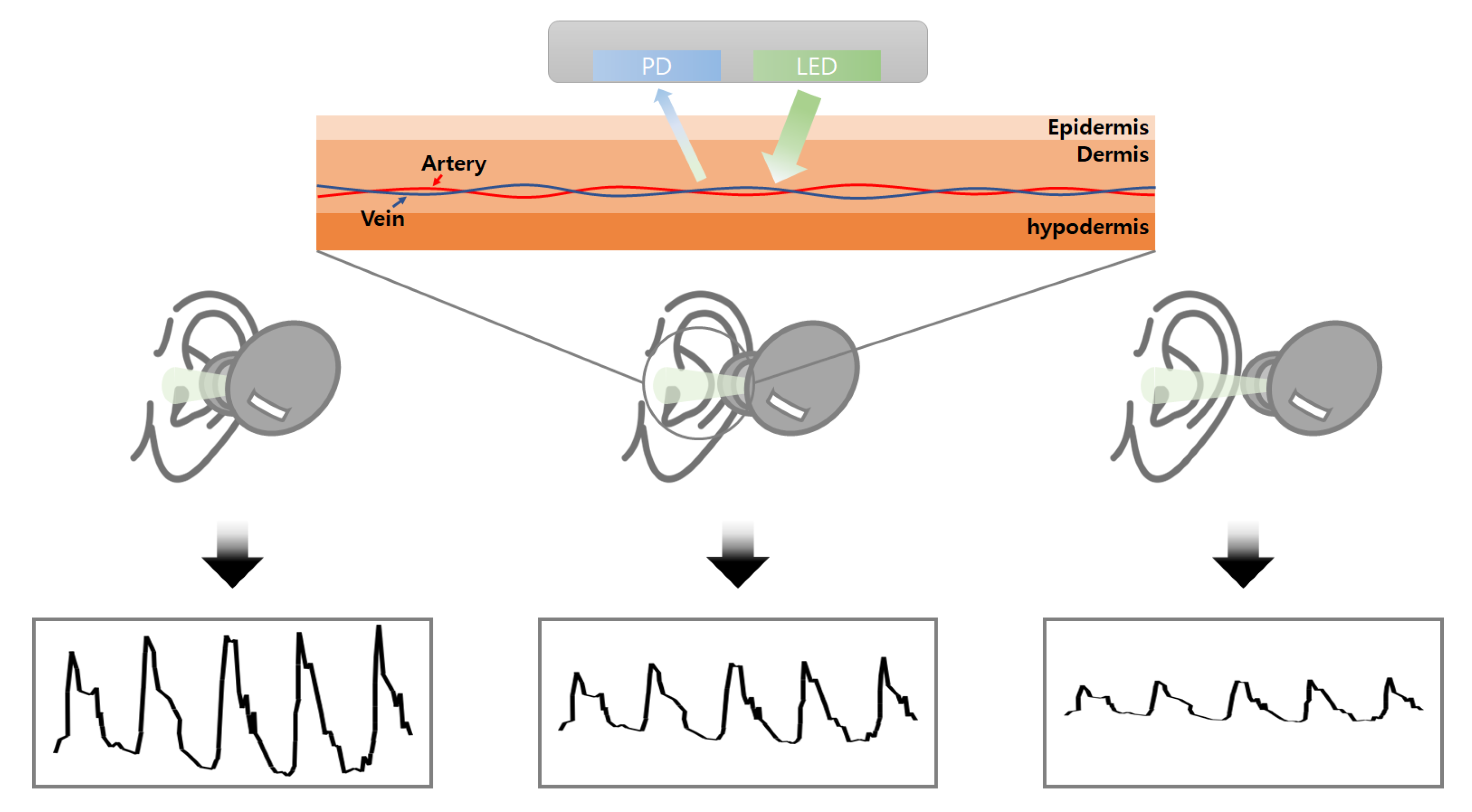 Micromachines 14 00252 g001 Micromachines 14 00252 g001