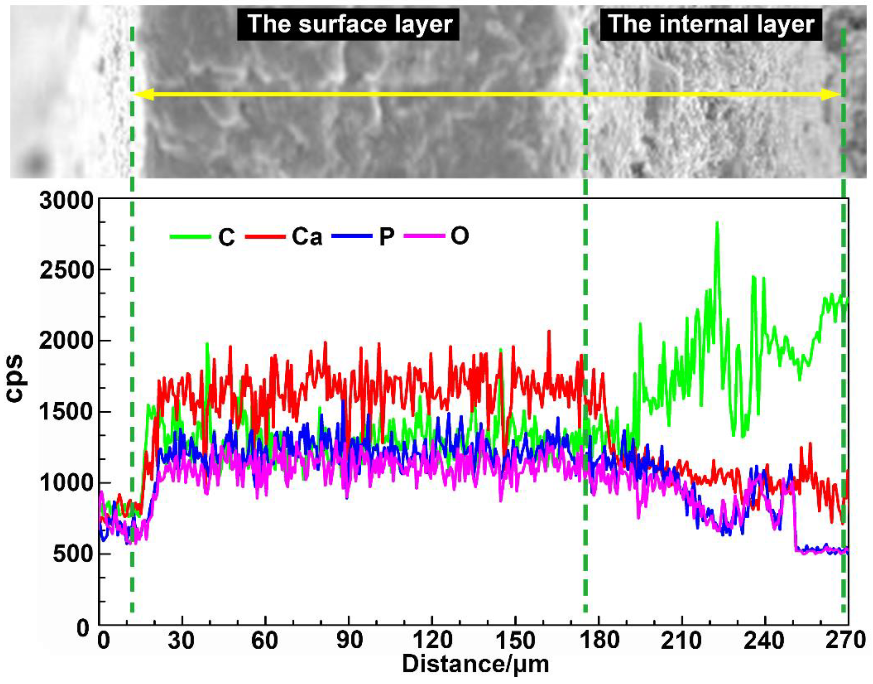 Micromachines 14 00256 g005