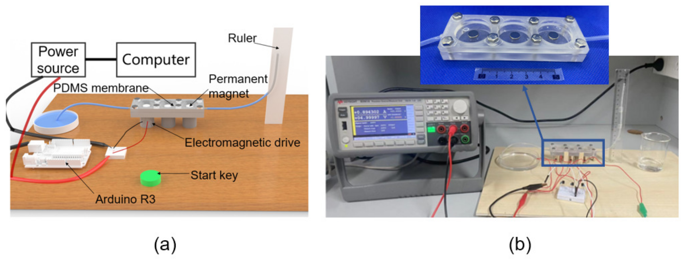 Micromachines 14 00257 g006