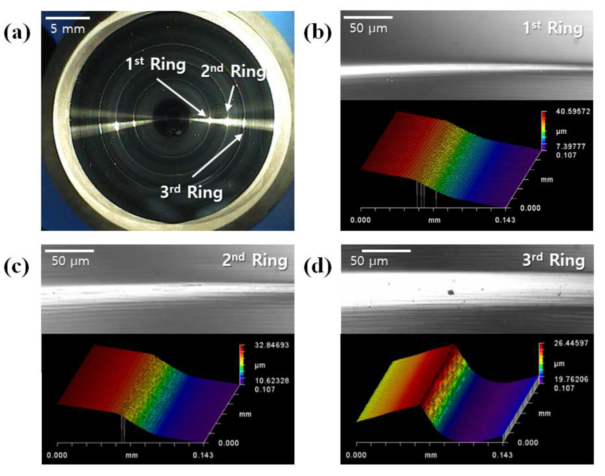 Micromachines 14 00273 g004