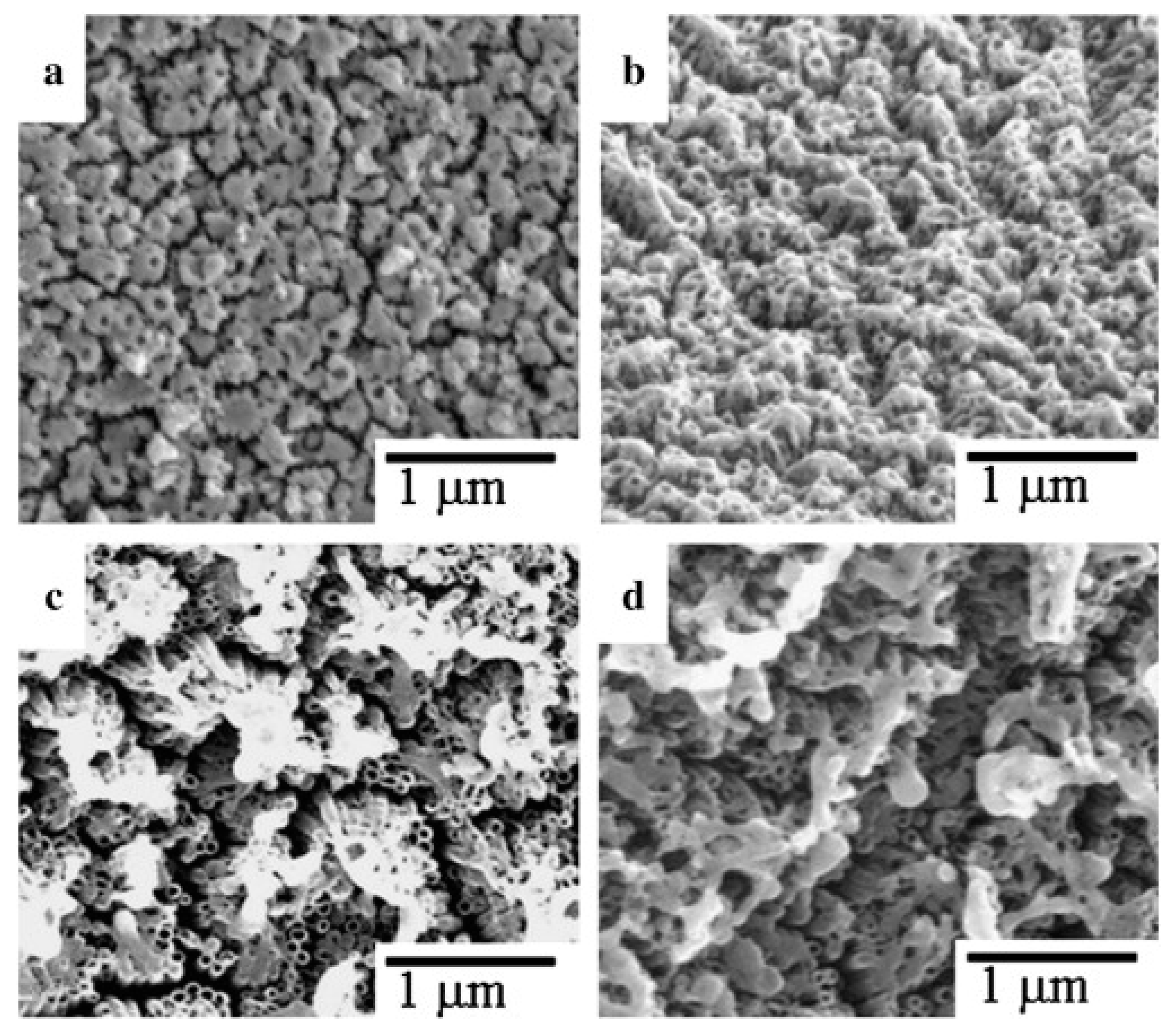 Micromachines 14 00274 g009 Micromachines 14 00274 g009