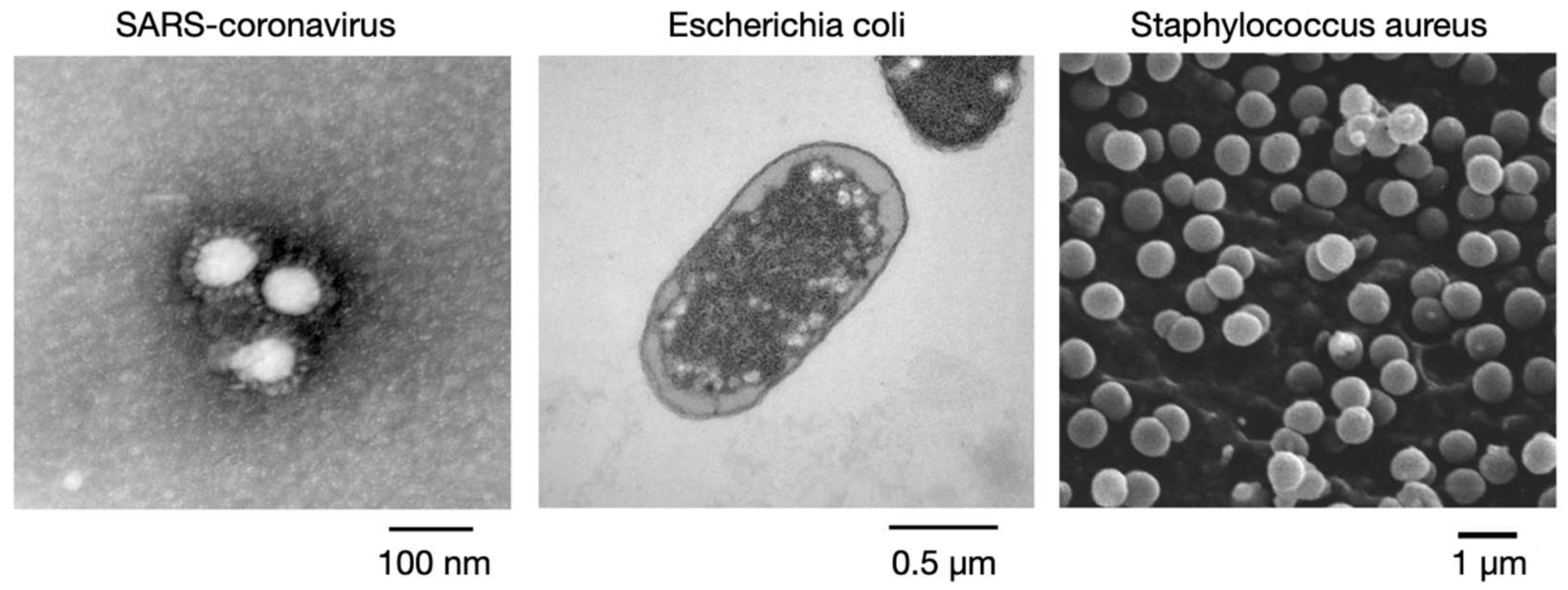 Micromachines 14 00282 g002 Micromachines 14 00282 g002