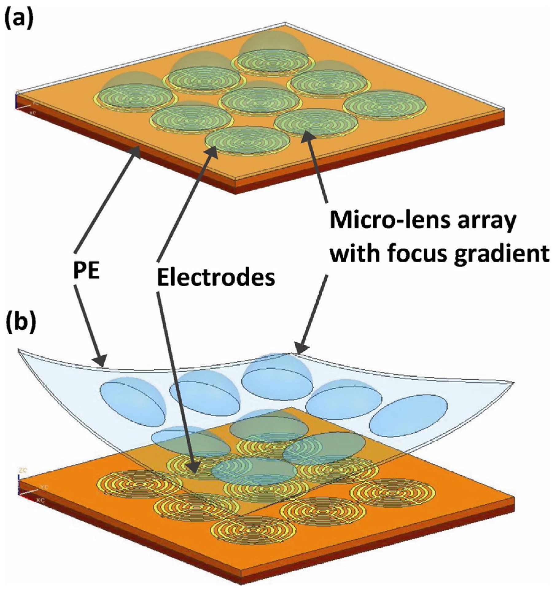 Micromachines 14 00319 g013