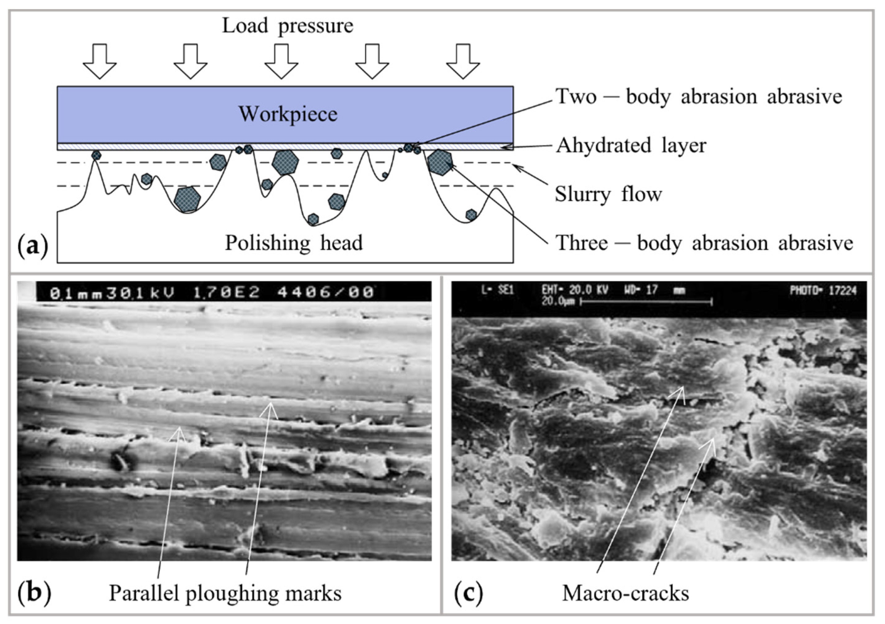 Micromachines 14 00343 g007