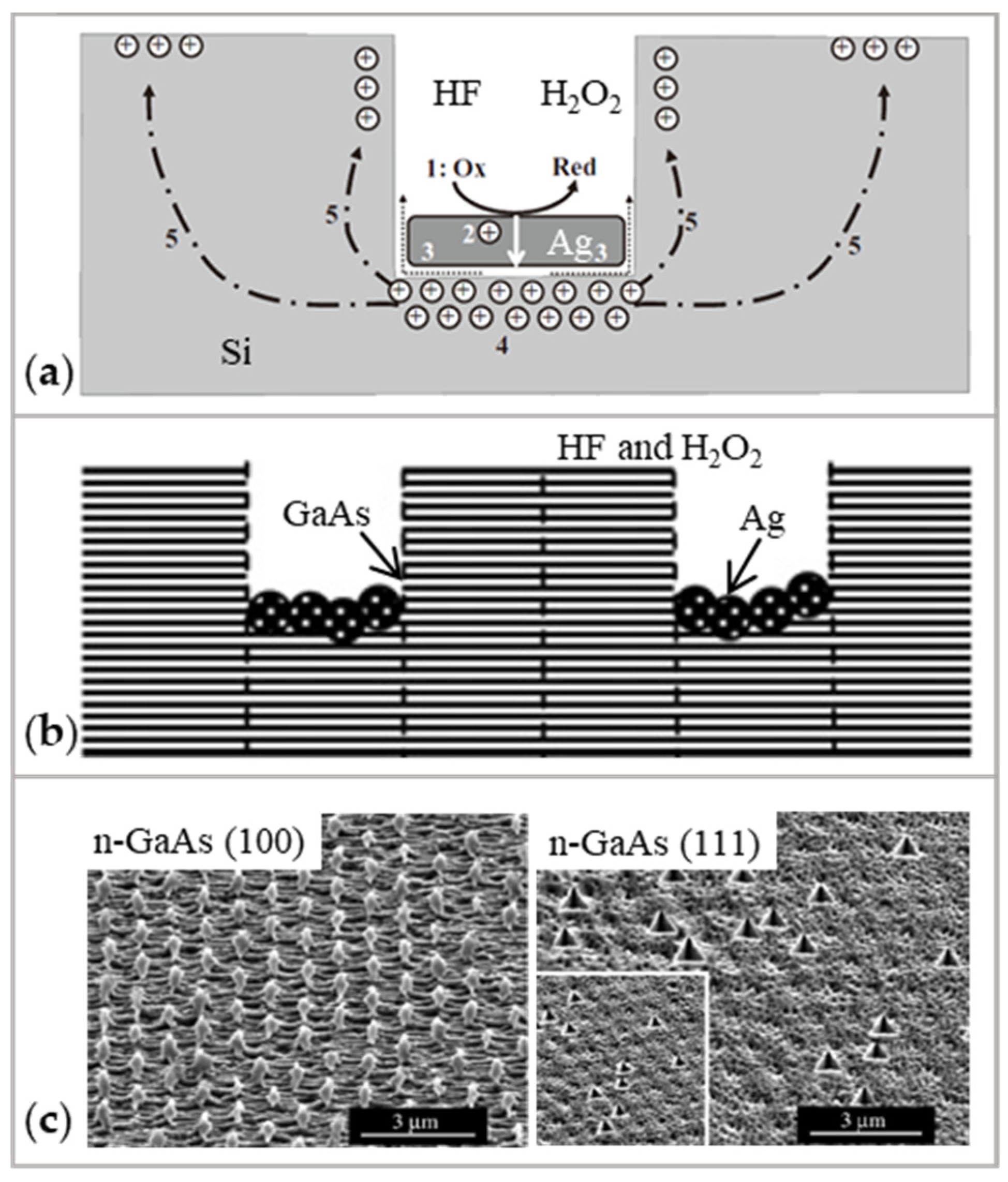 Micromachines 14 00343 g016