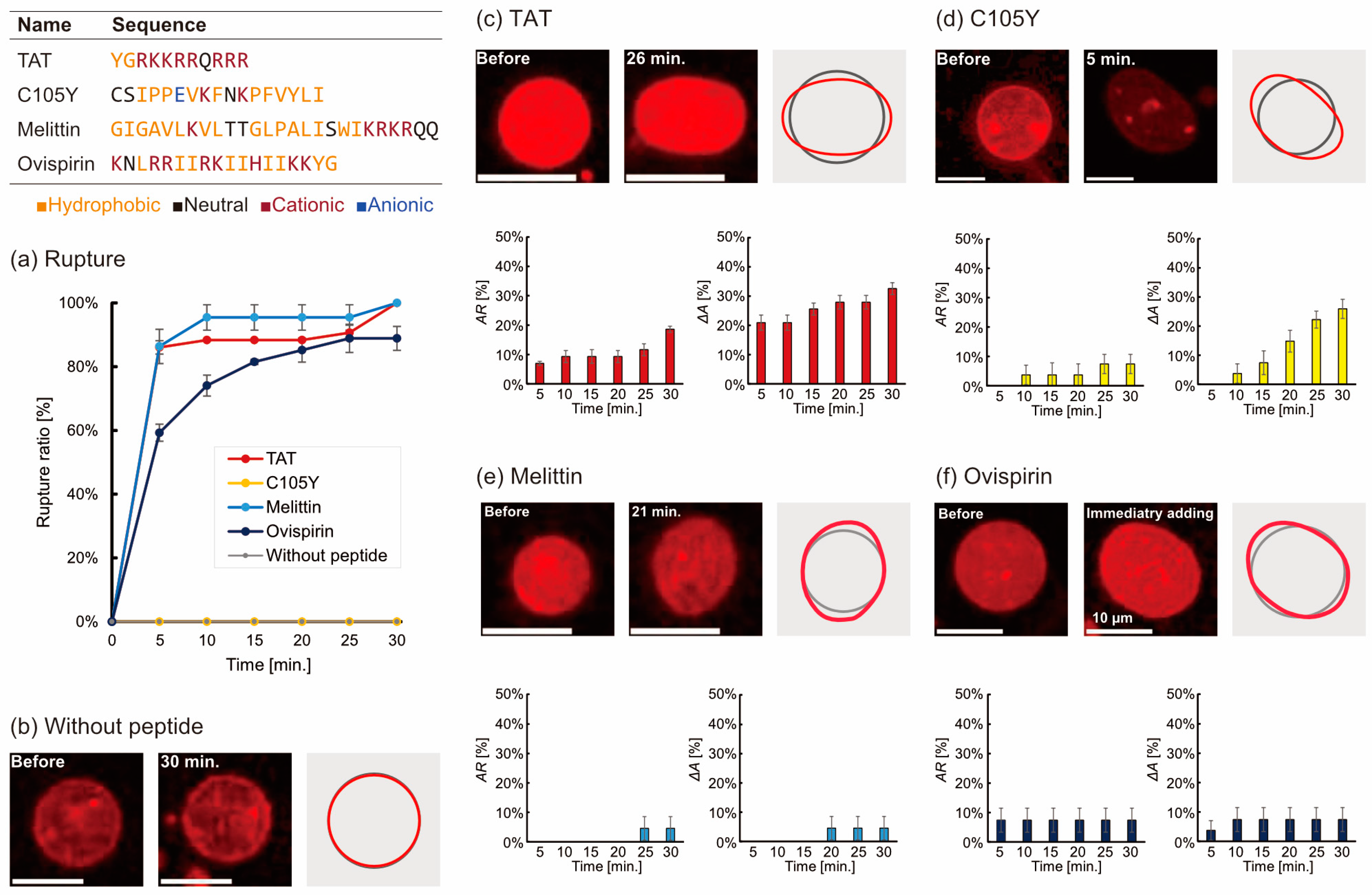 Micromachines 14 00373 g001