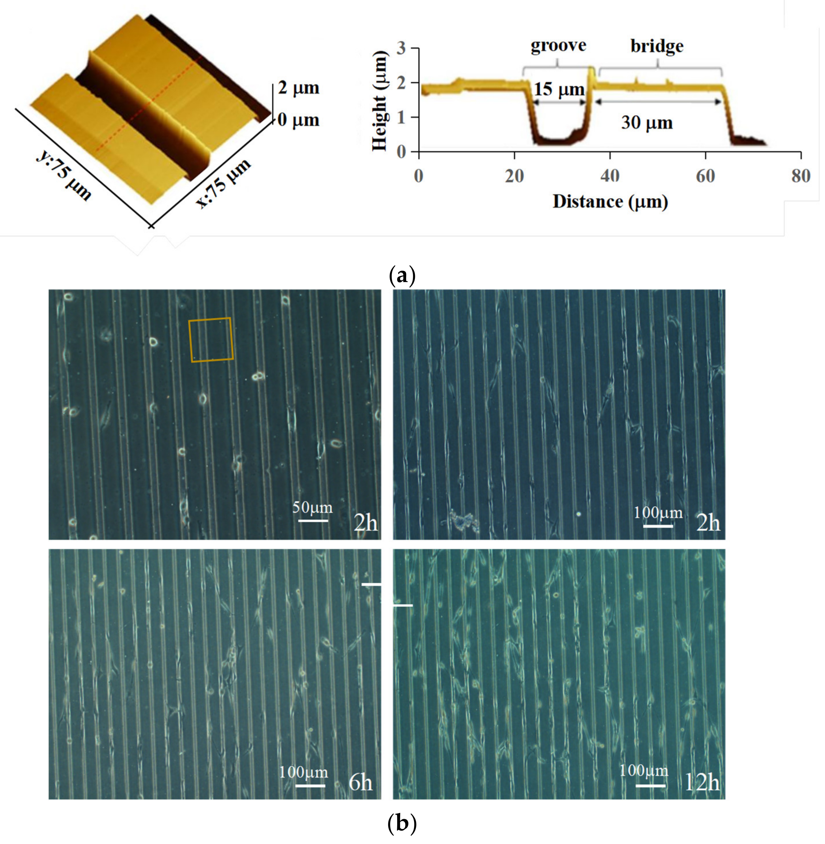 Micromachines 14 00397 g001