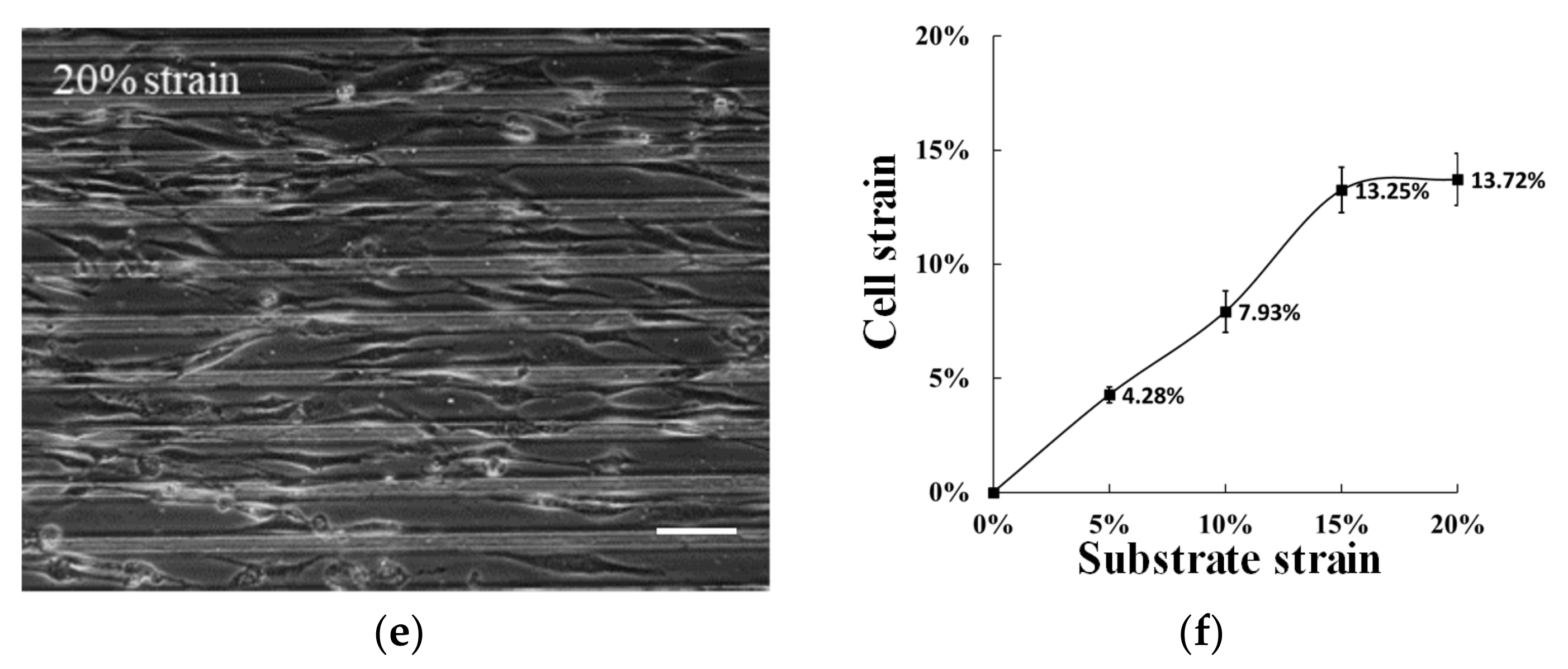 Micromachines 14 00397 g002b