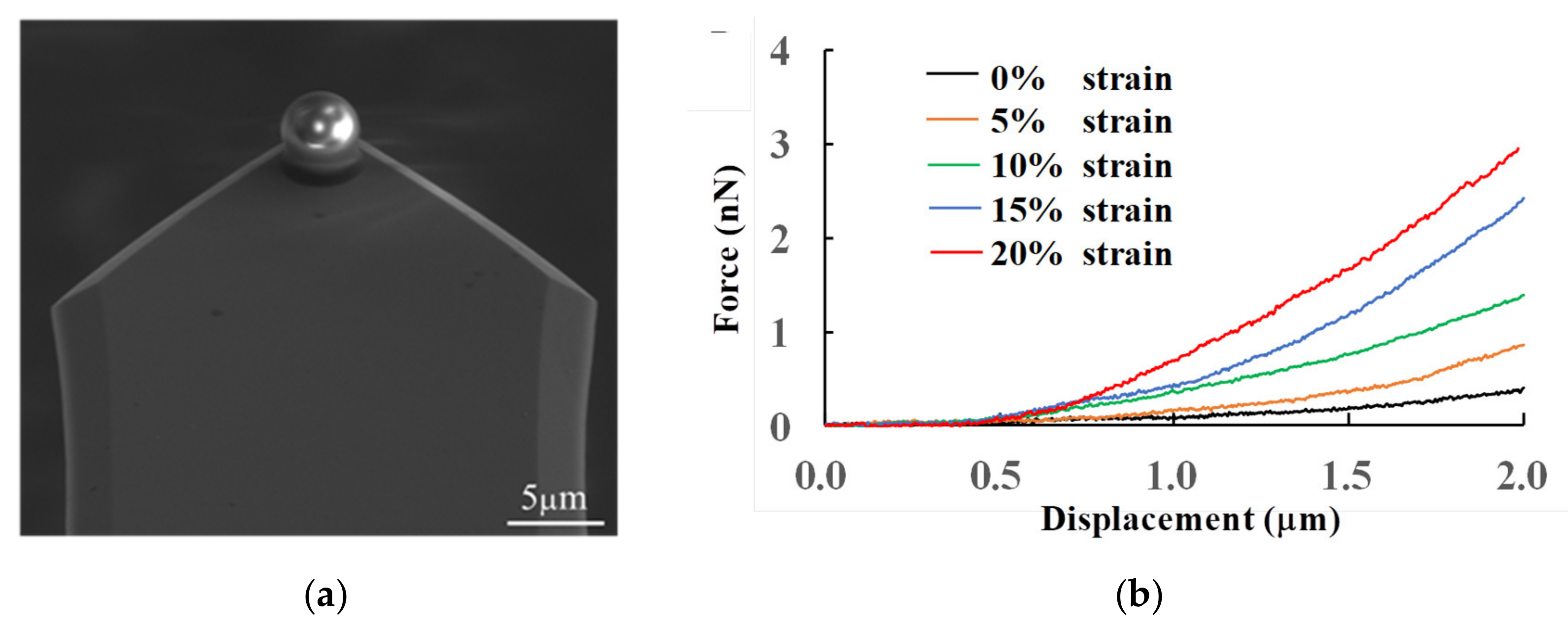 Micromachines 14 00397 g003