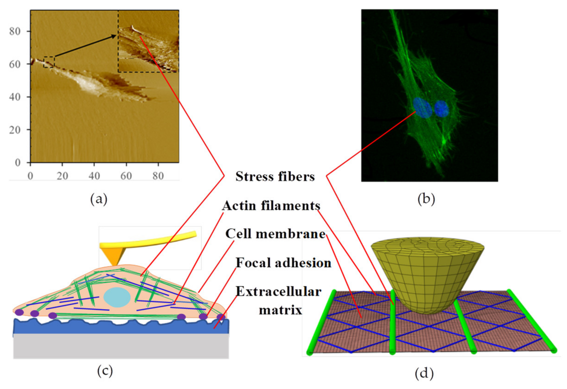 Micromachines 14 00397 g004