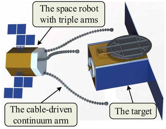 Micromachines | Free Full-Text | A Novel Space Robot with Triple  Cable-Driven Continuum Arms for Space Grasping