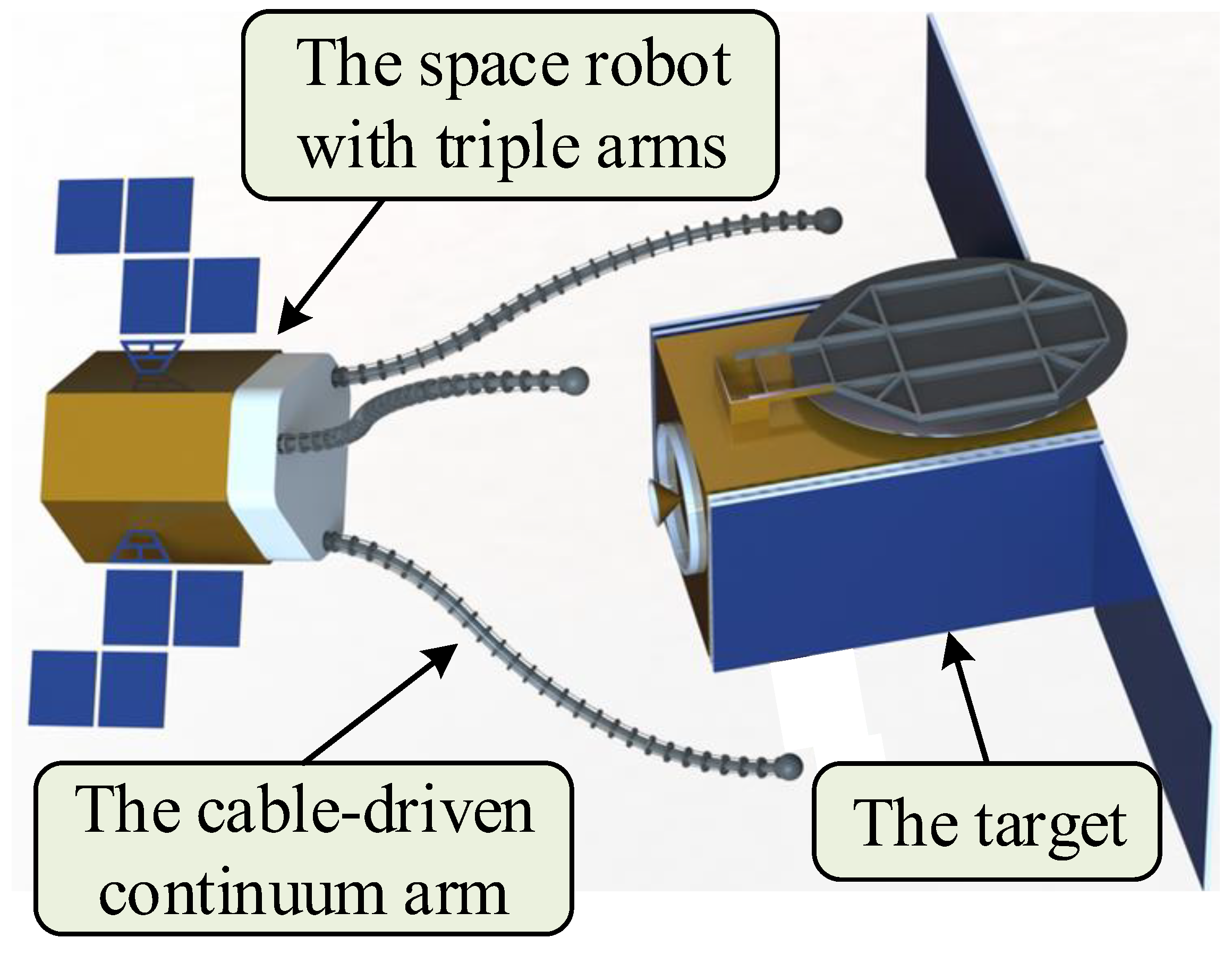 Micromachines | Free Full-Text | A Novel Space Robot with Triple Cable- Driven Continuum Arms for Space Grasping