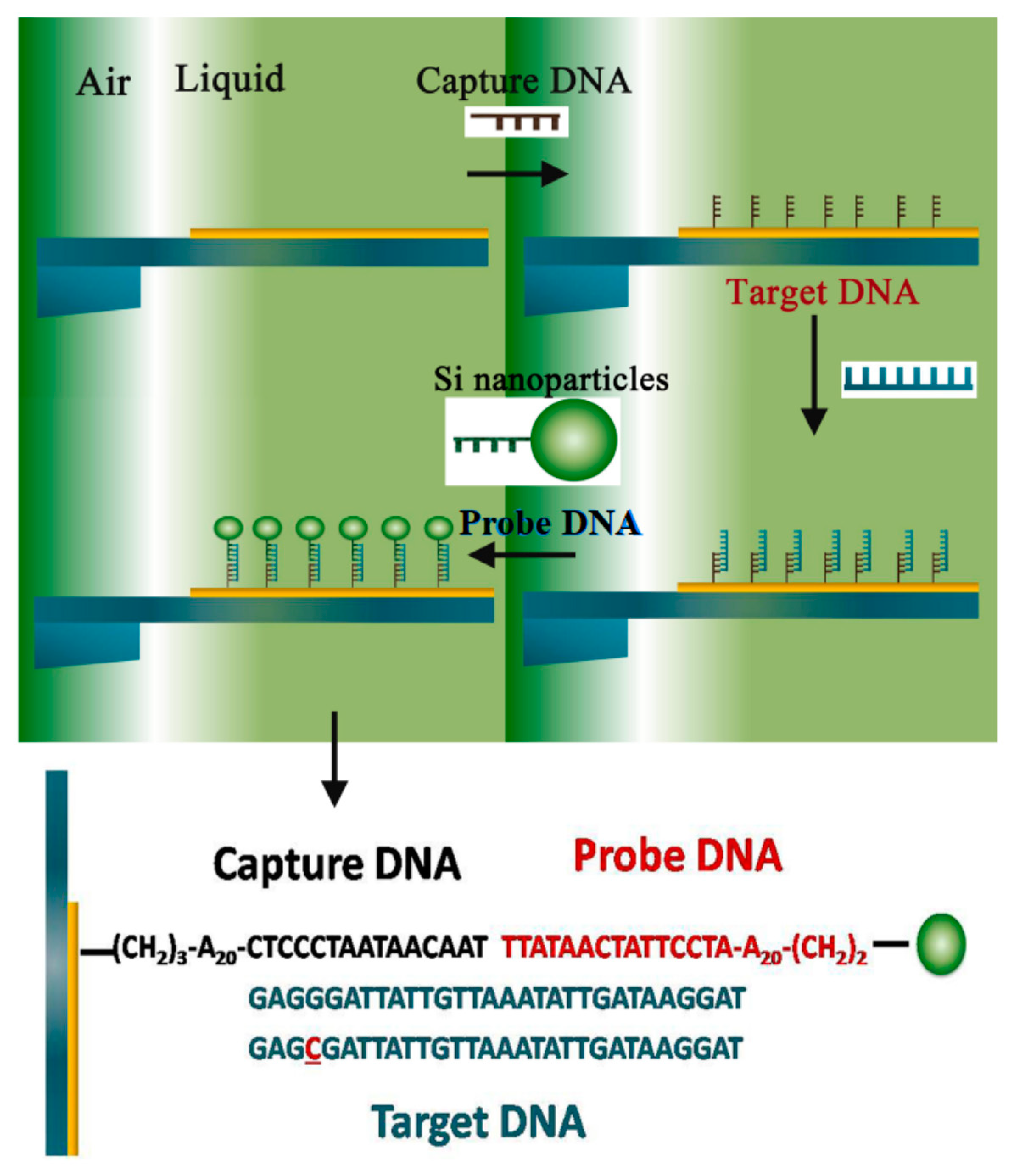Micromachines 14 00427 g002 Micromachines 14 00427 g002
