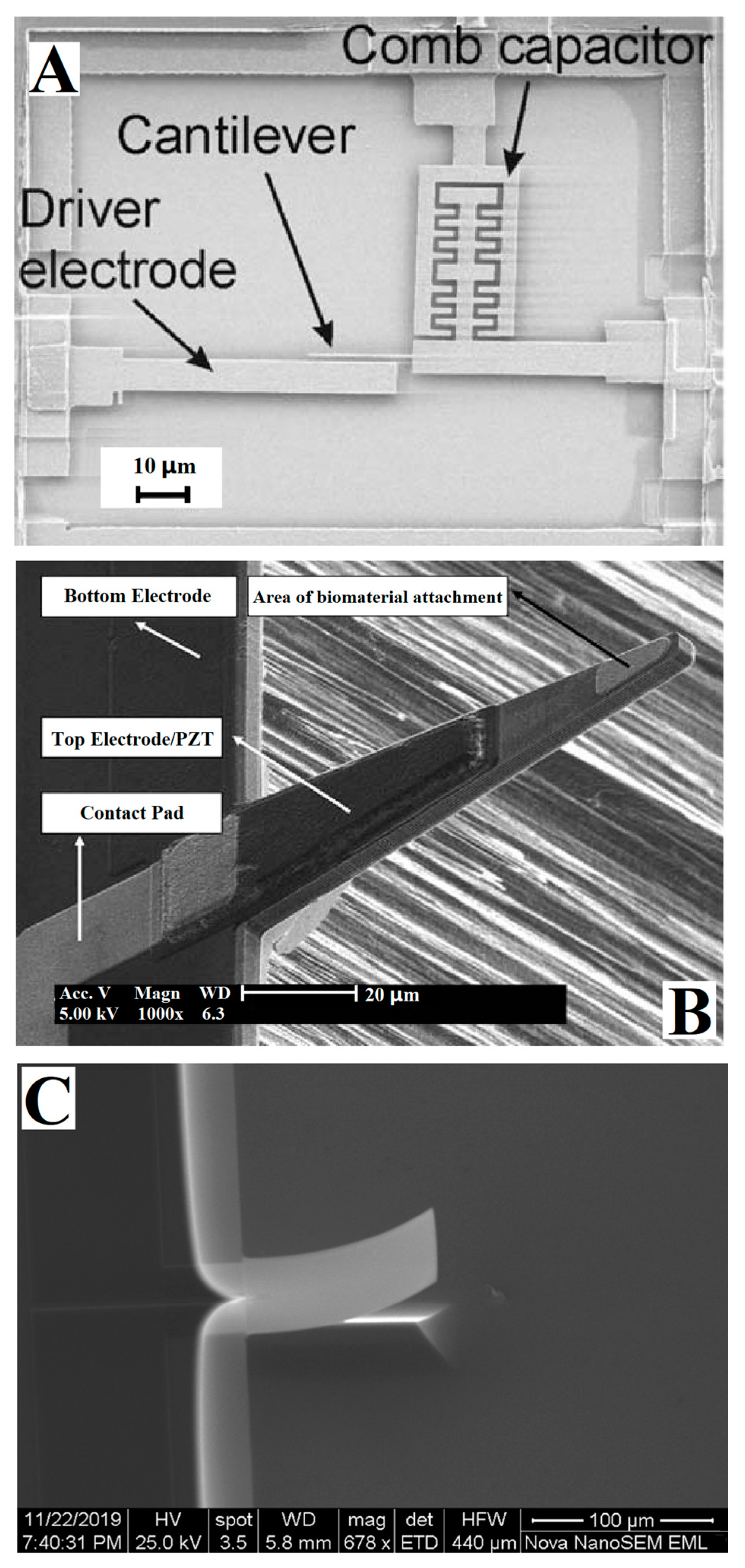 Micromachines 14 00427 g005 Micromachines 14 00427 g005