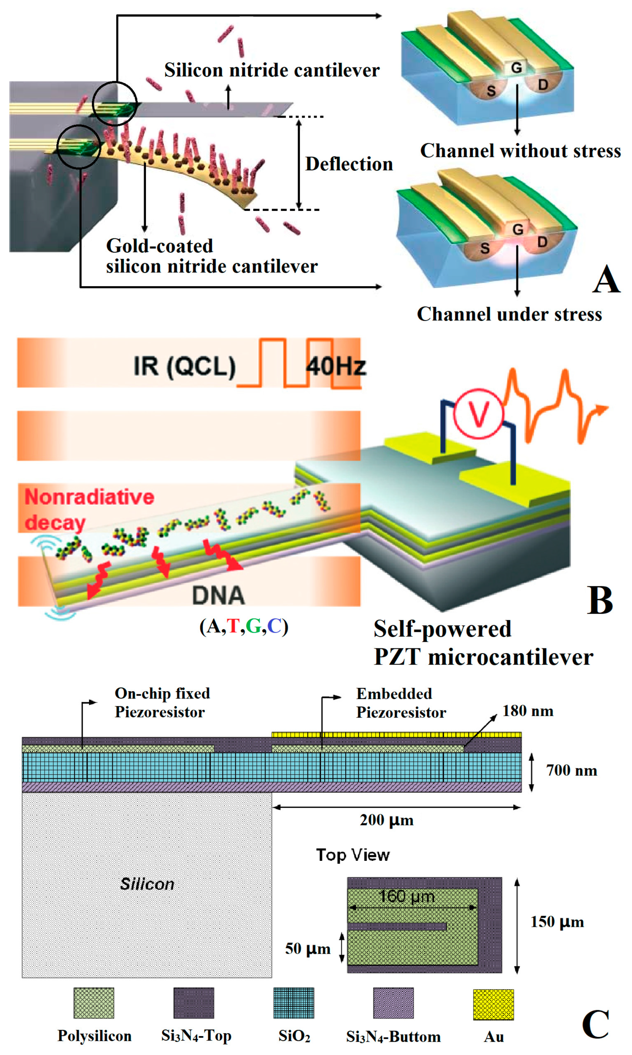 Micromachines 14 00427 g006 Micromachines 14 00427 g006