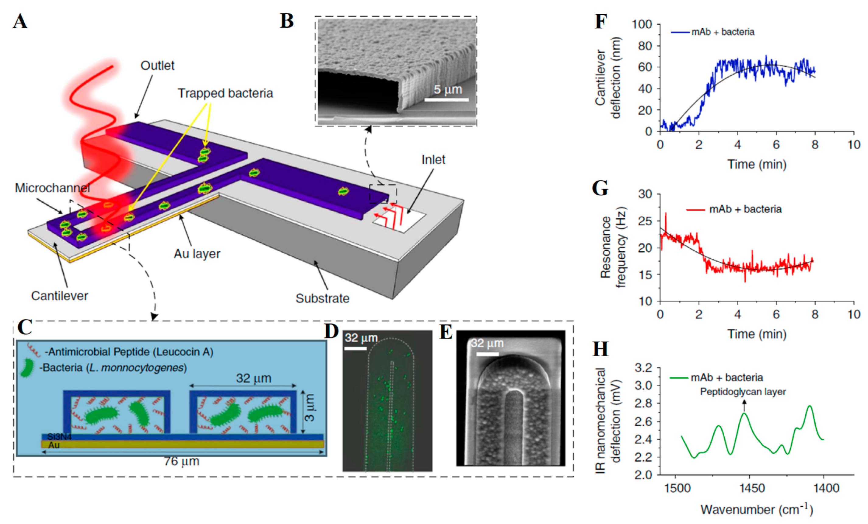 Micromachines 14 00427 g010 Micromachines 14 00427 g010