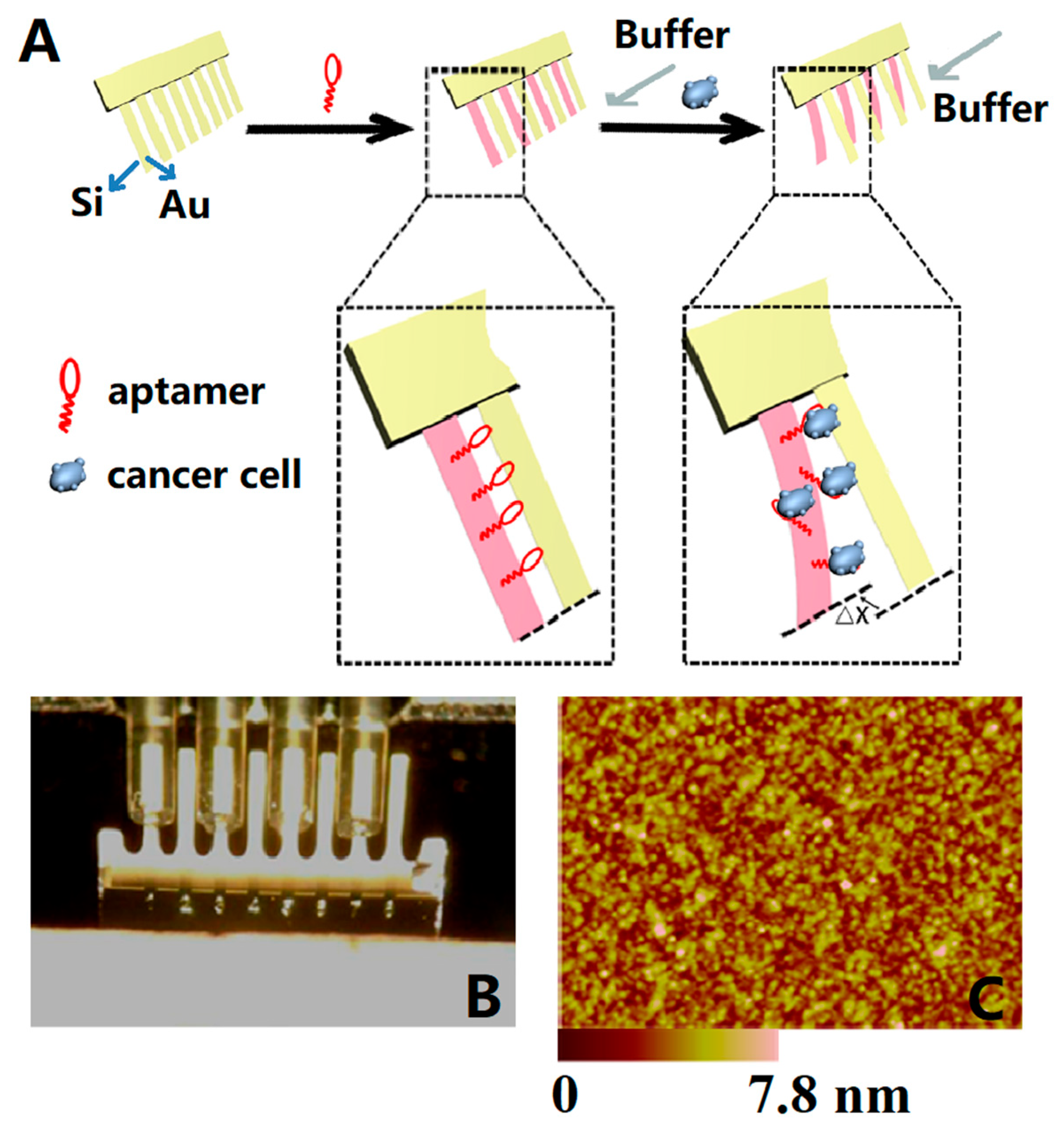 Micromachines 14 00427 g011 Micromachines 14 00427 g011