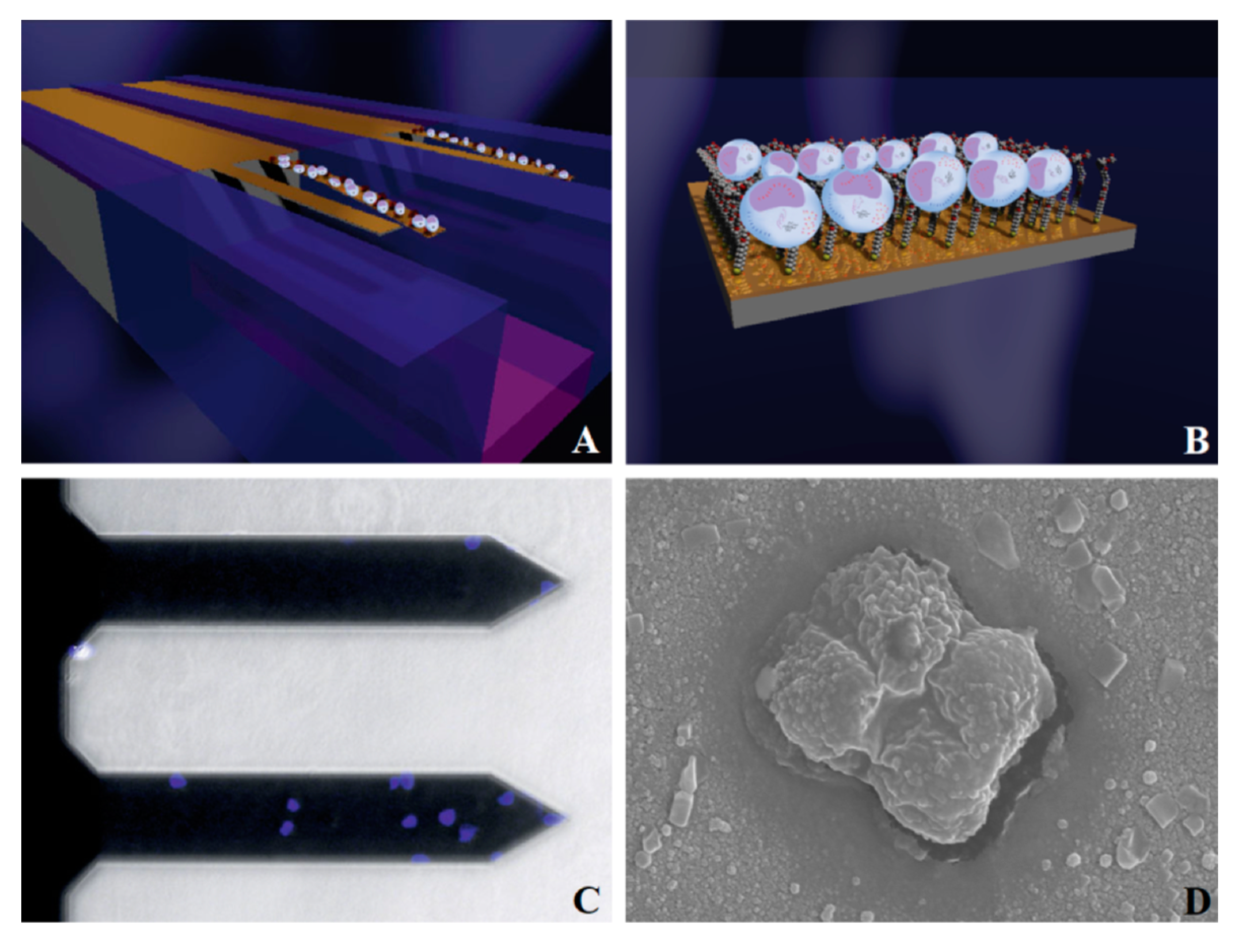 Micromachines 14 00427 g012 Micromachines 14 00427 g012