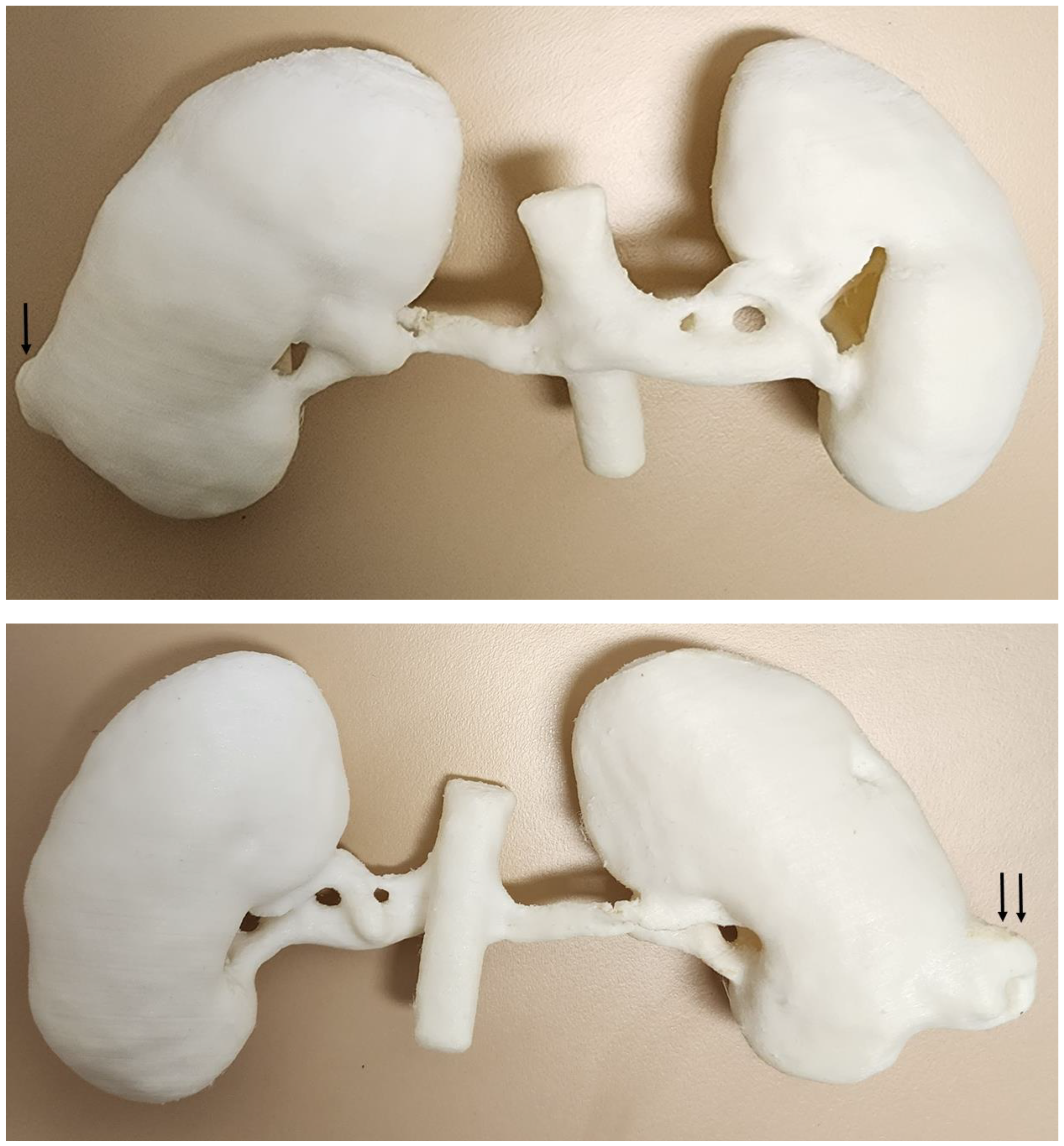 Micromachines 14 00464 g019