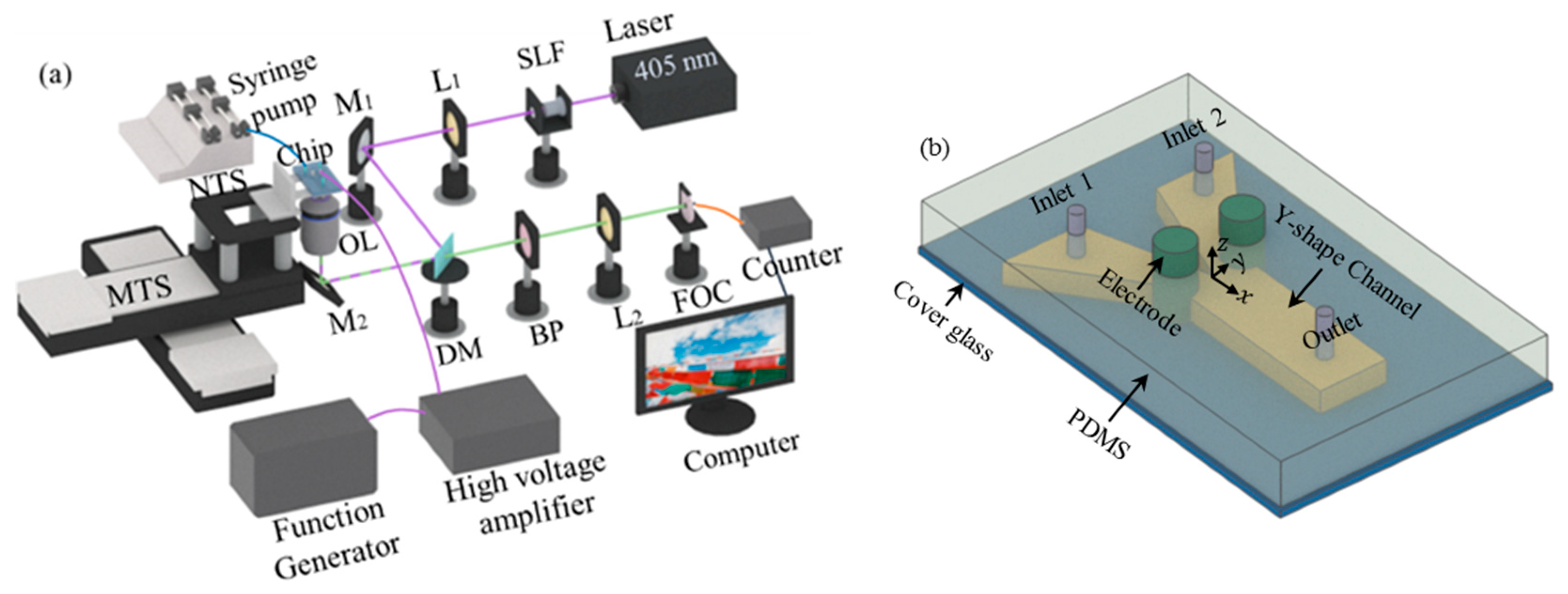 Micromachines 14 00474 g002