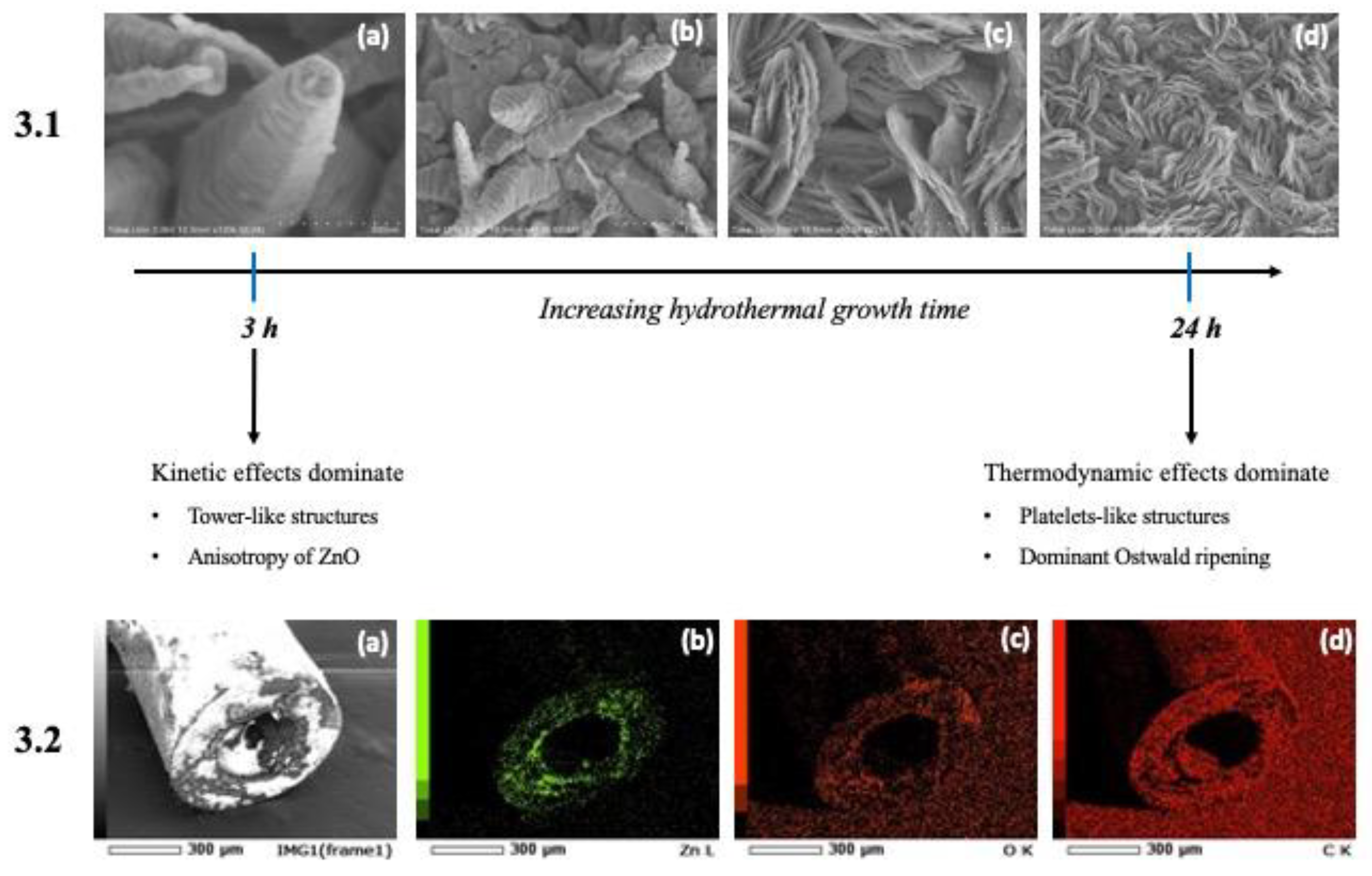 Micromachines 14 00498 g003