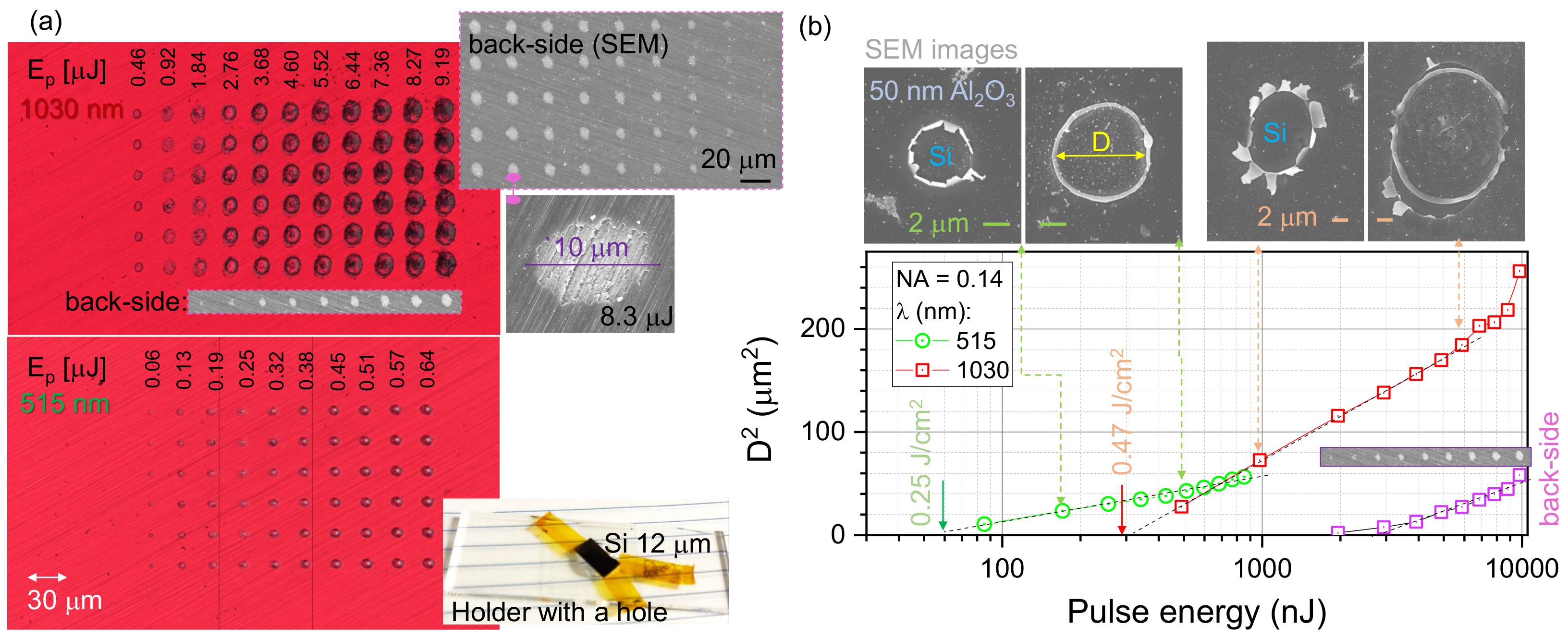 Micromachines 14 00550 g003