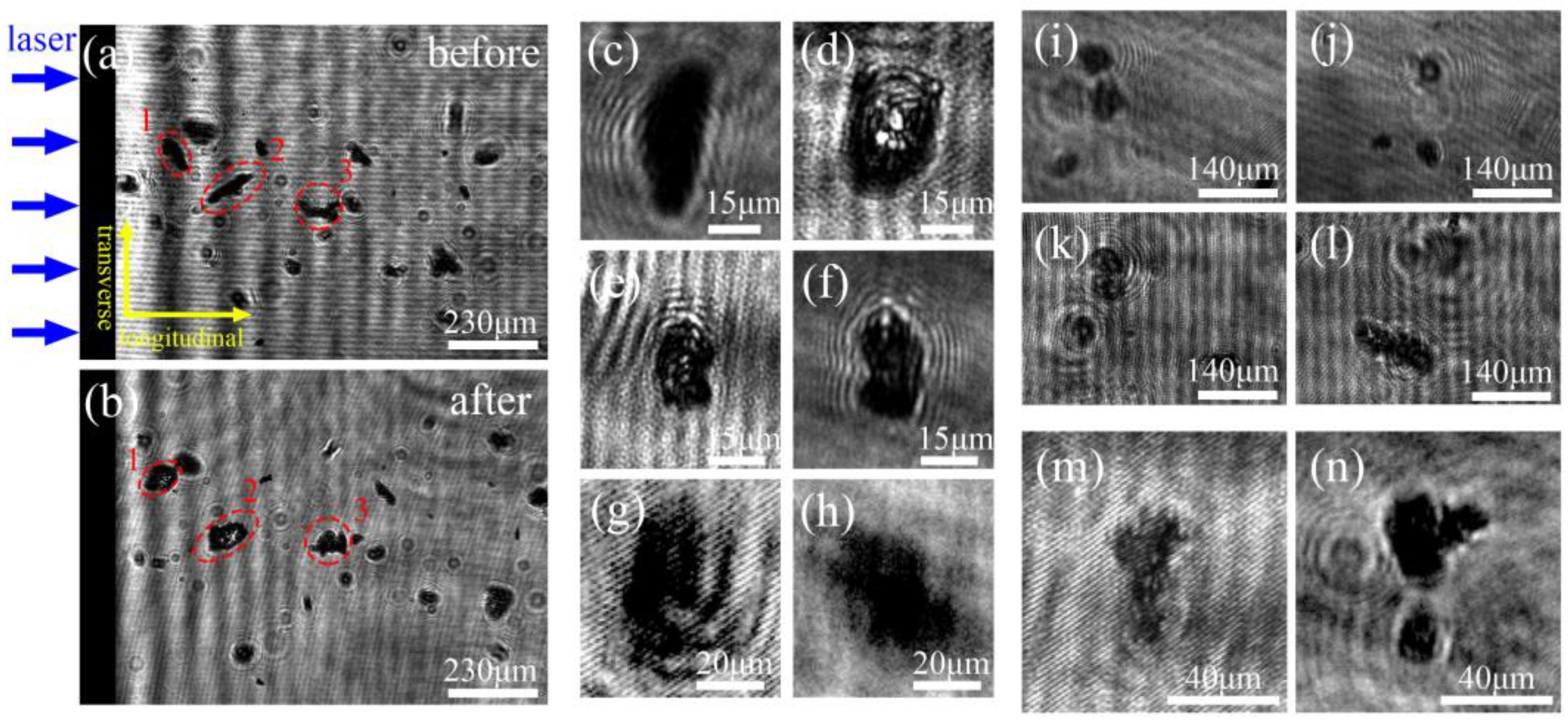 Micromachines 14 00598 g003