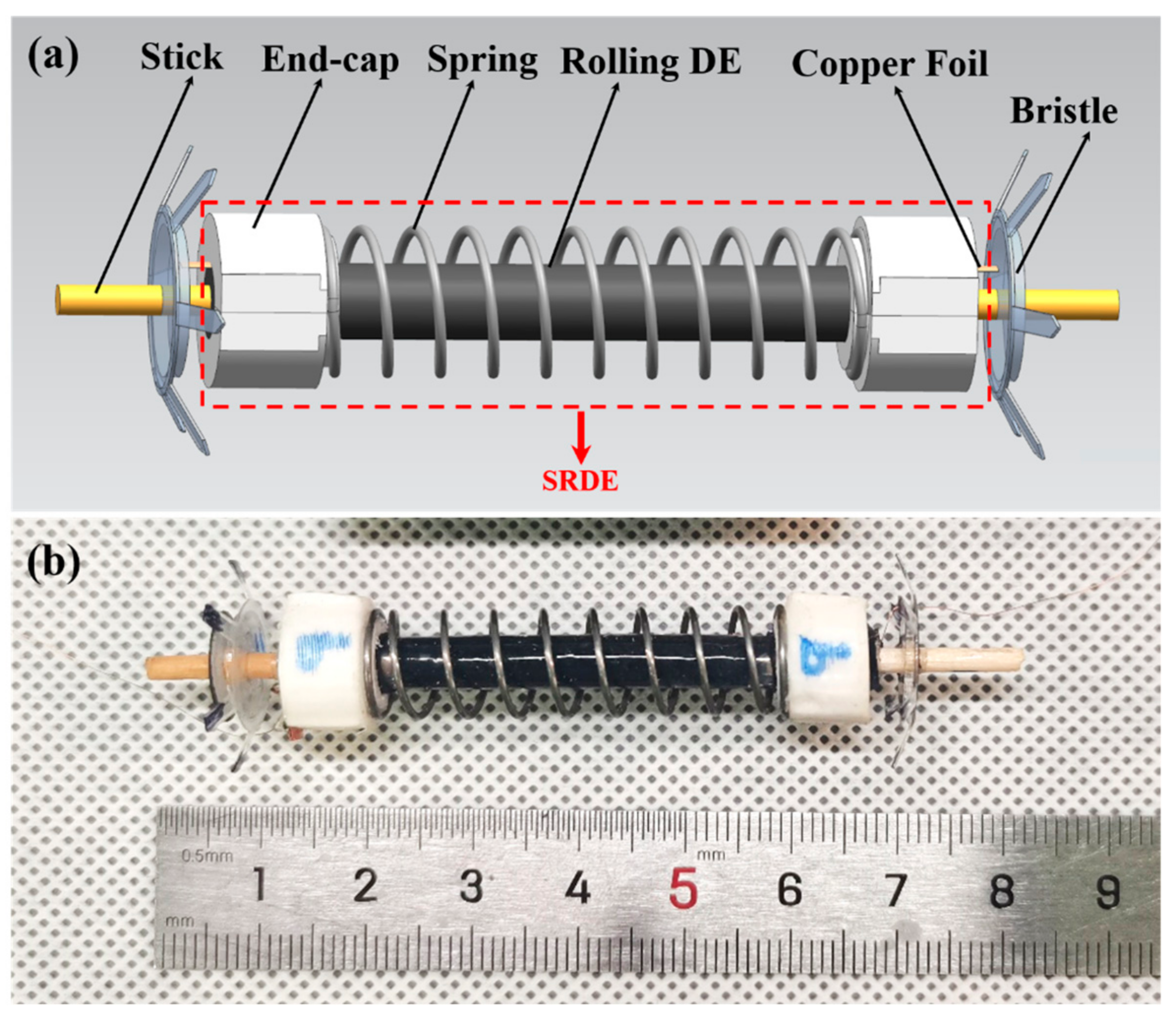 Micromachines | Free Full-Text | A Soft Robot Driven by a Spring-Rolling  Dielectric Elastomer Actuator with Two Bristles