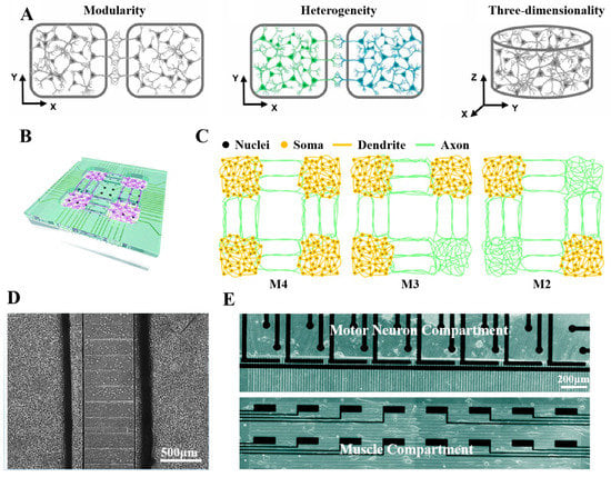 Micromachines | Free Full-Text | Recent Progress and Perspectives 