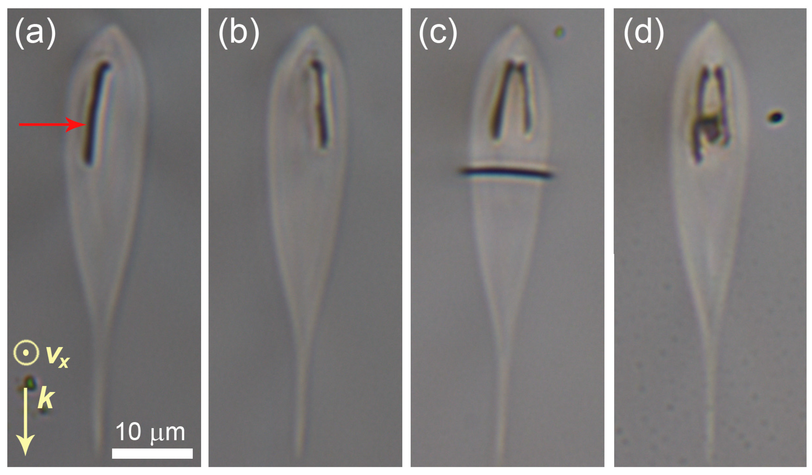 Micromachines 14 00801 g003 Micromachines 14 00801 g003