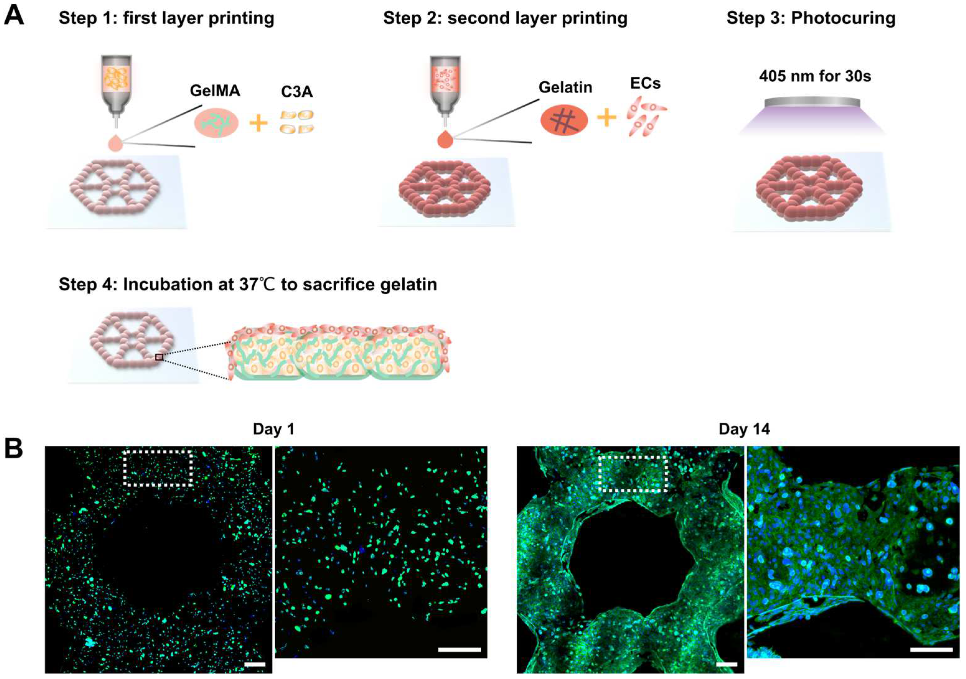 Micromachines 14 00878 g004 Micromachines 14 00878 g004