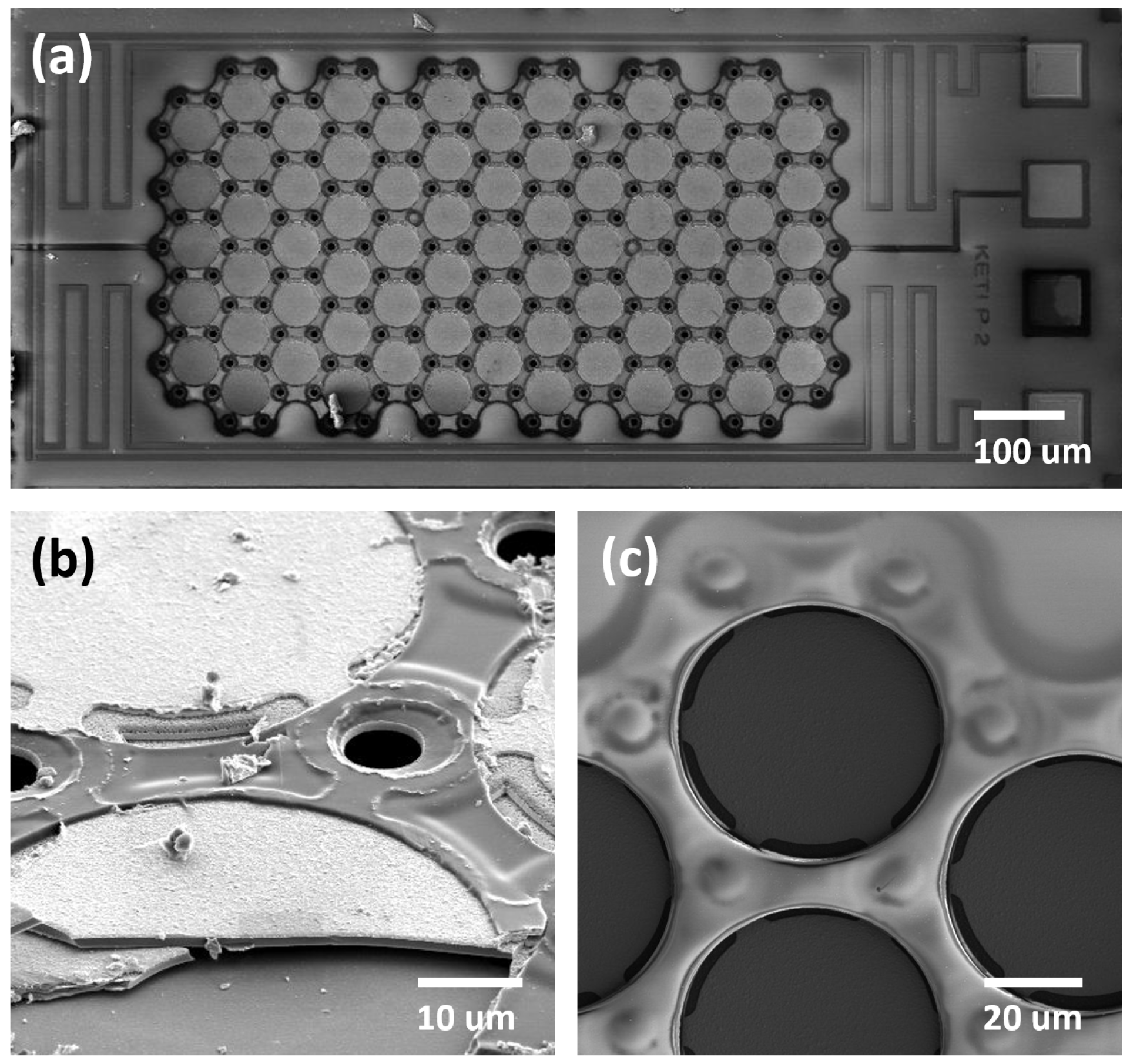 Micromachines 14 00975 g004