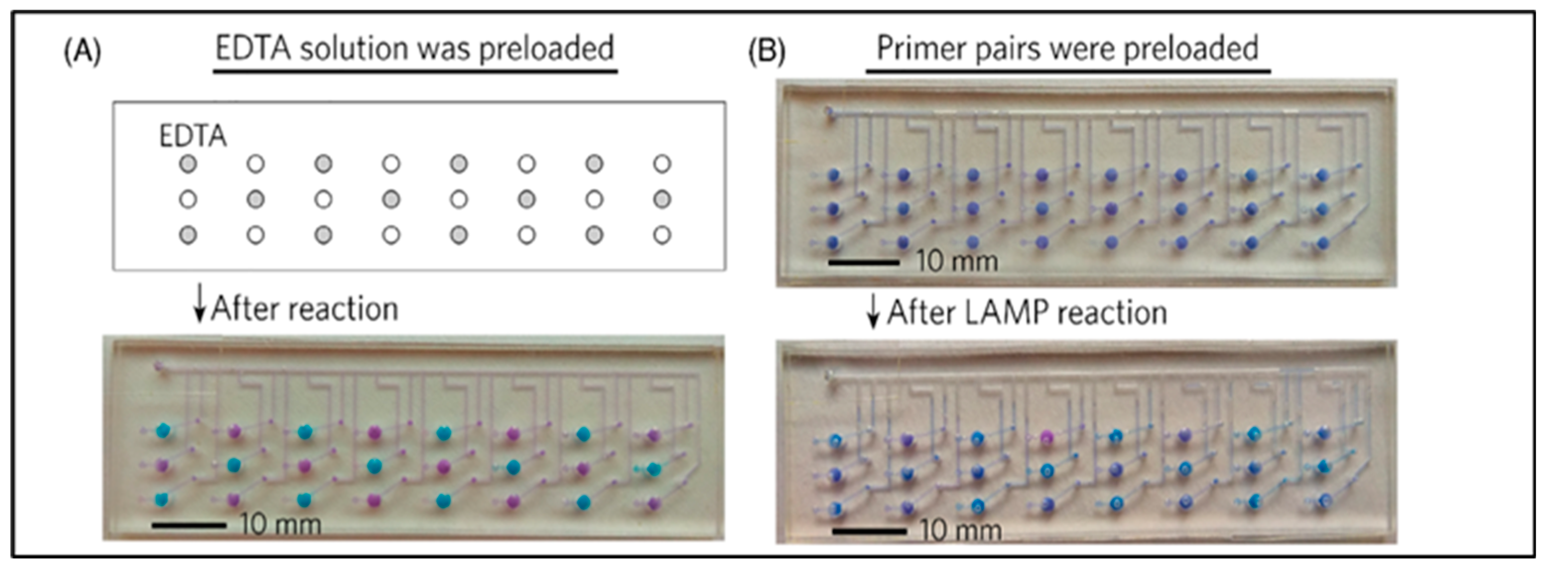 Gel pad array chip for high throughput and multi-analyte microbead