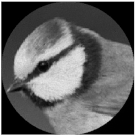 Micromachines 14 00989 i050