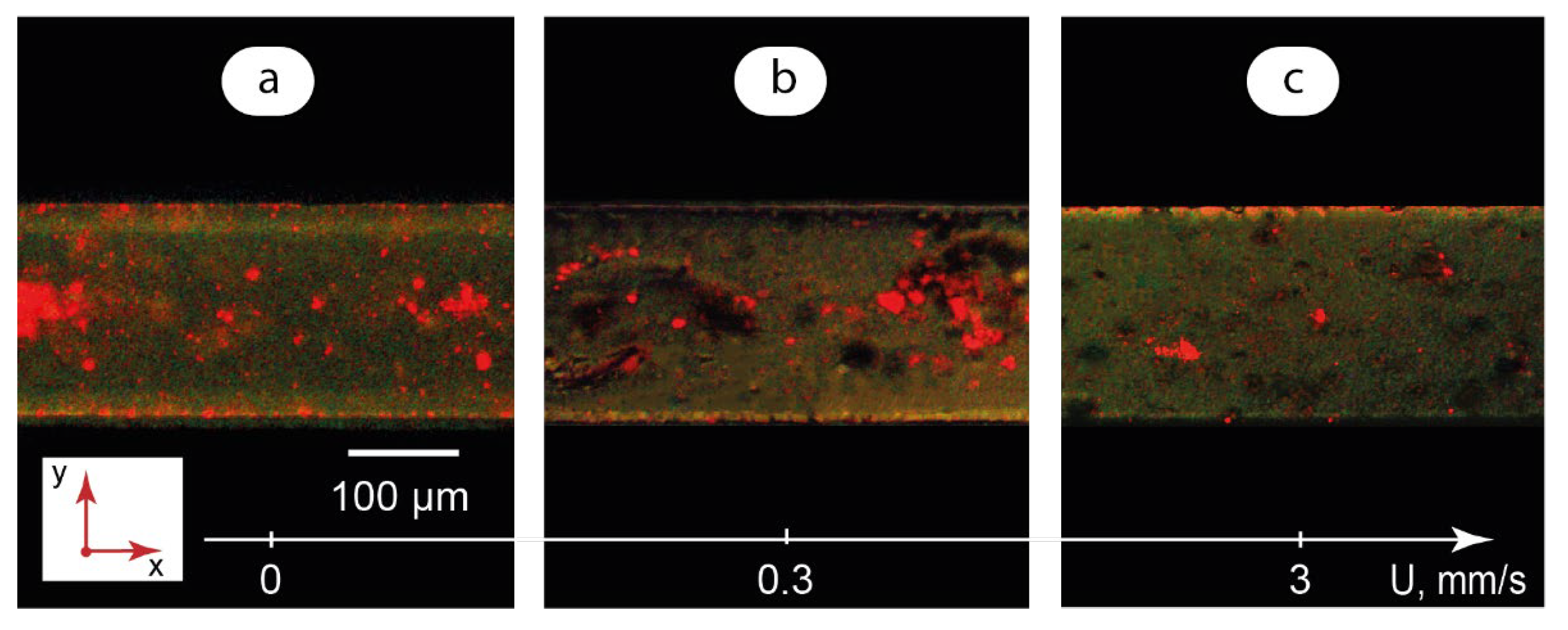 Micromachines 14 00990 g006 Micromachines 14 00990 g006