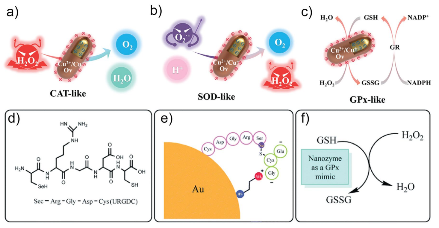 Micromachines | Free Full-Text | Antioxidant Nanozymes: Mechanisms ...