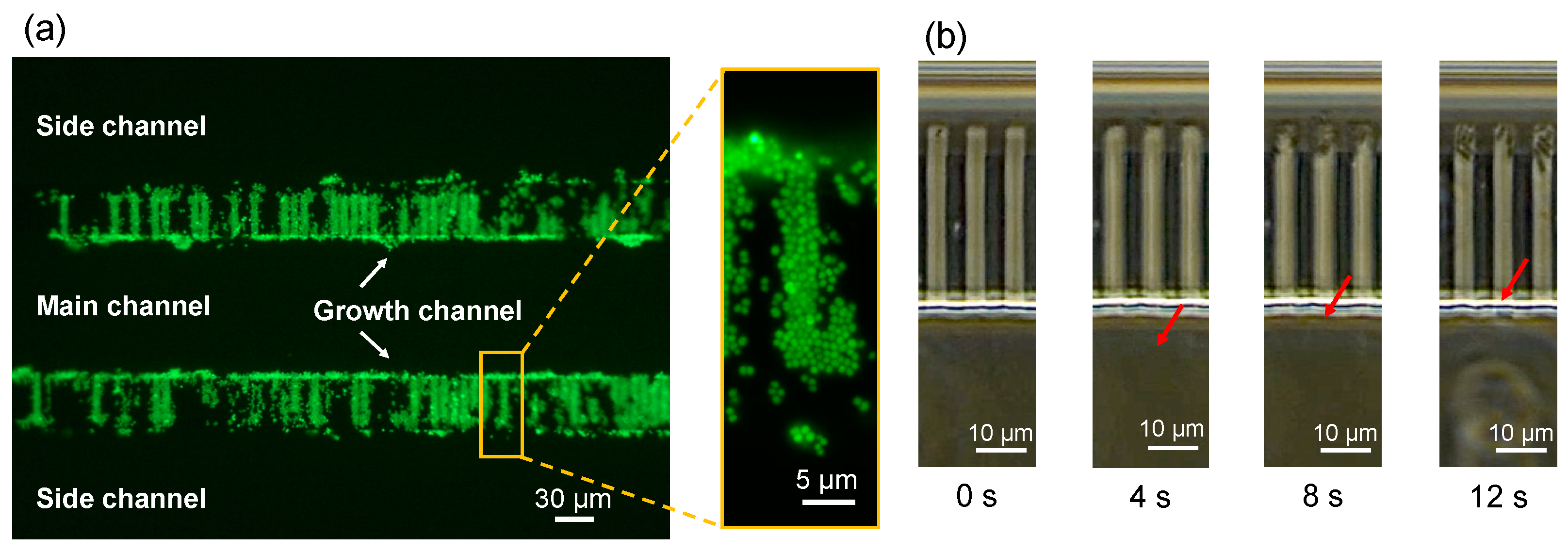 Micromachines 14 01027 g009 Micromachines 14 01027 g009