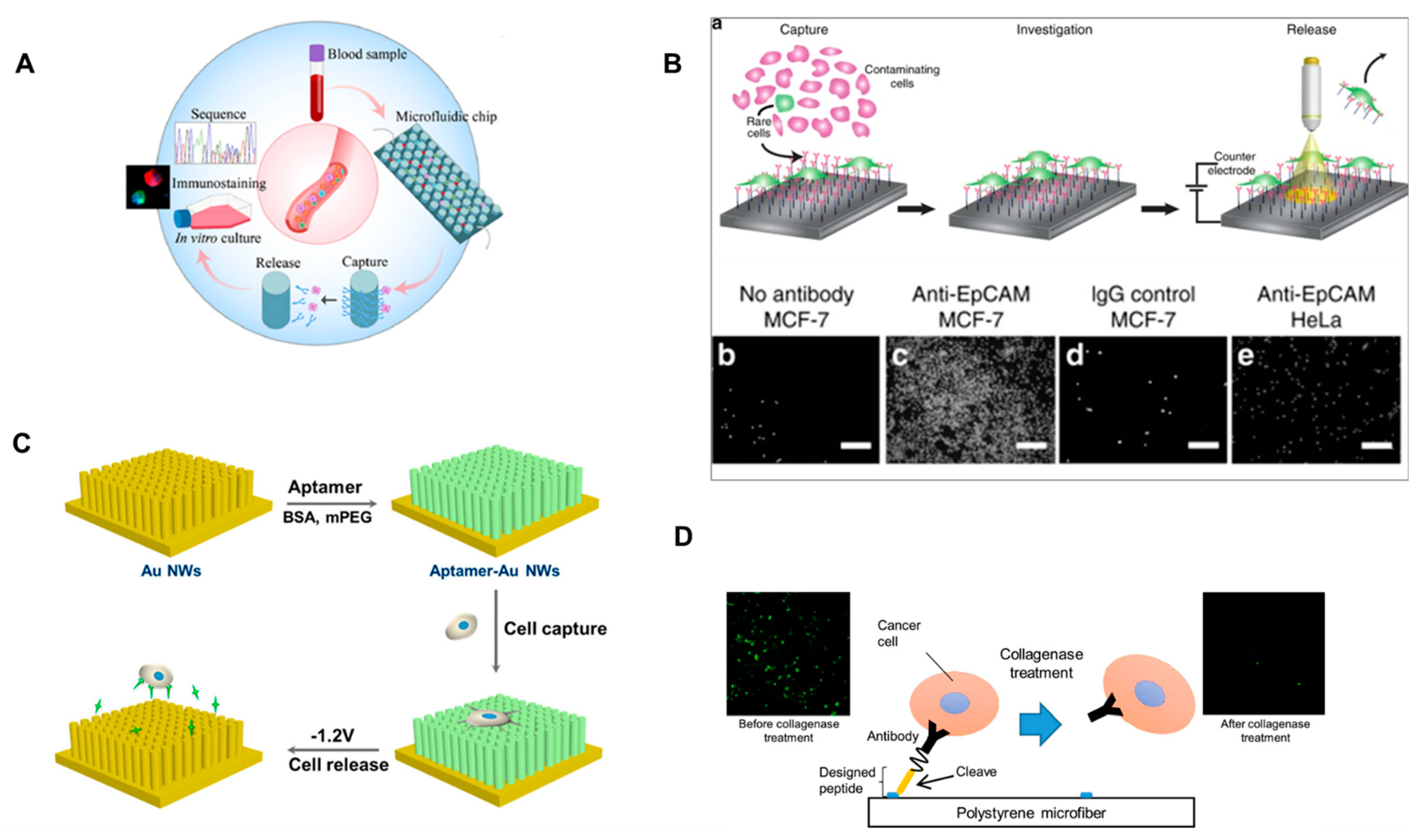 Micromachines 14 01035 g003 Micromachines 14 01035 g003