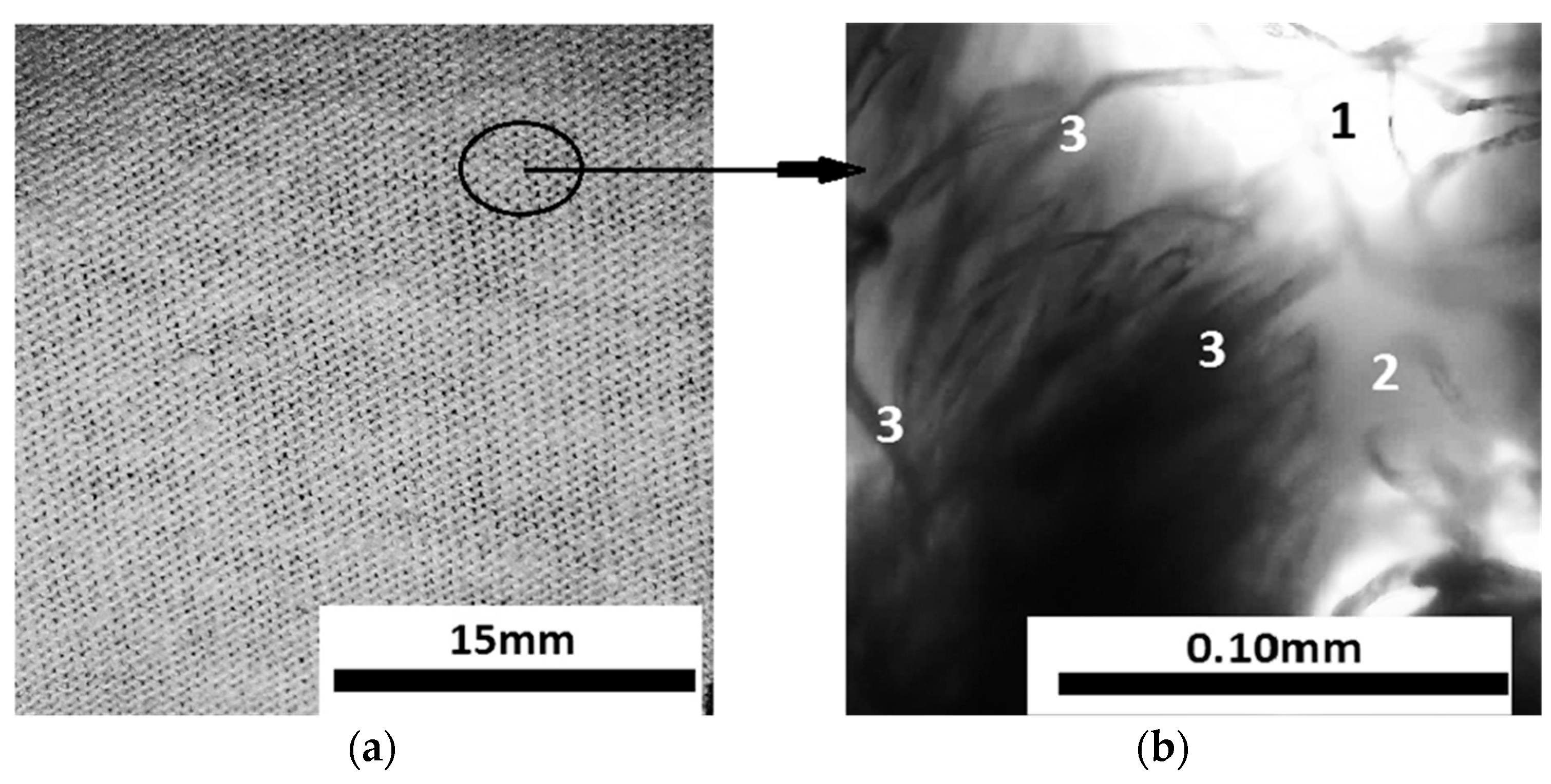Micromachines 14 01113 g003
