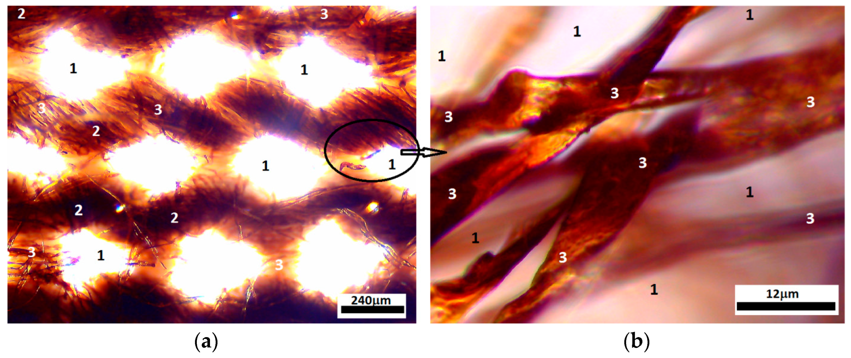 Micromachines 14 01113 g004