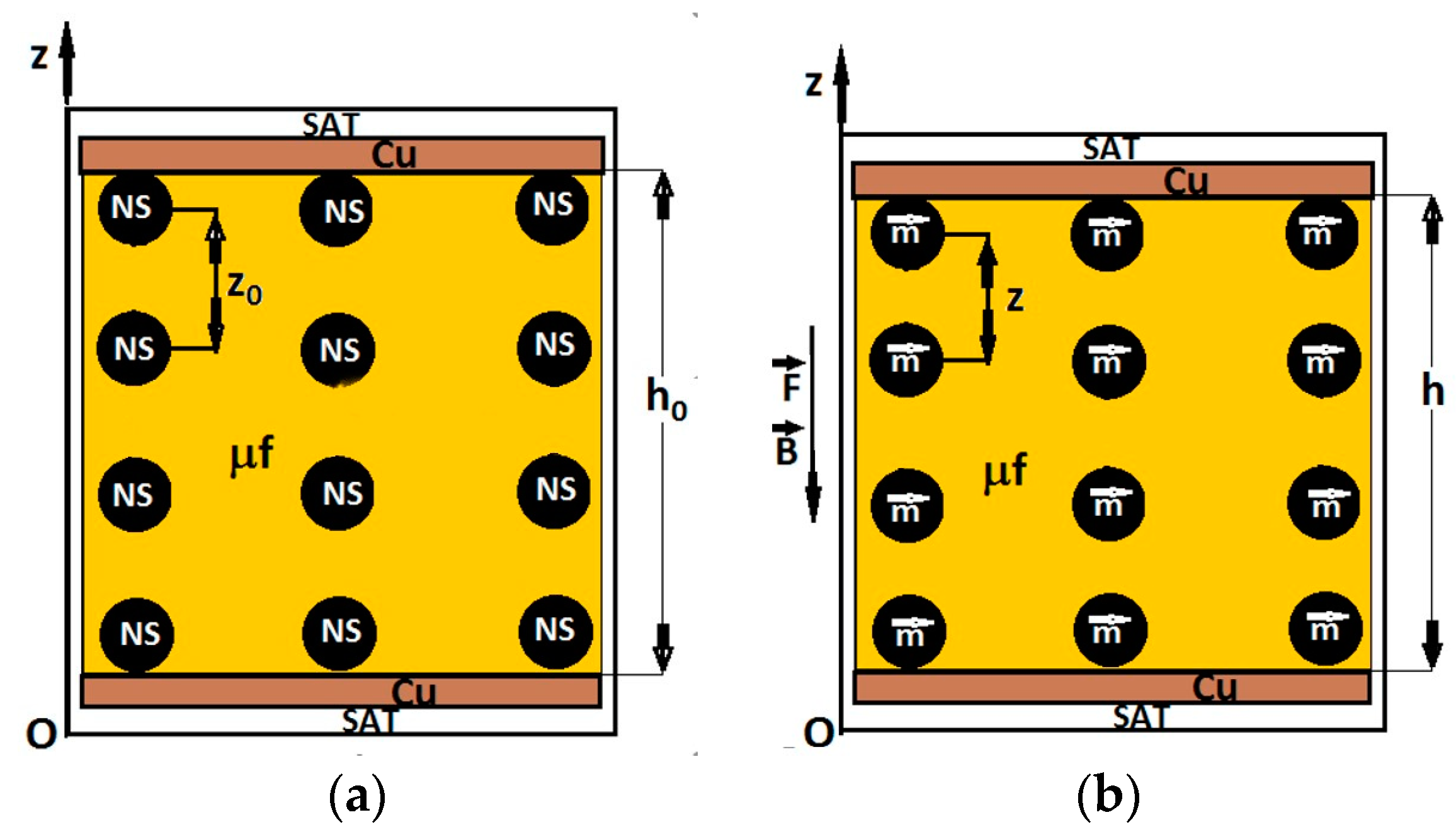 Micromachines 14 01113 g011
