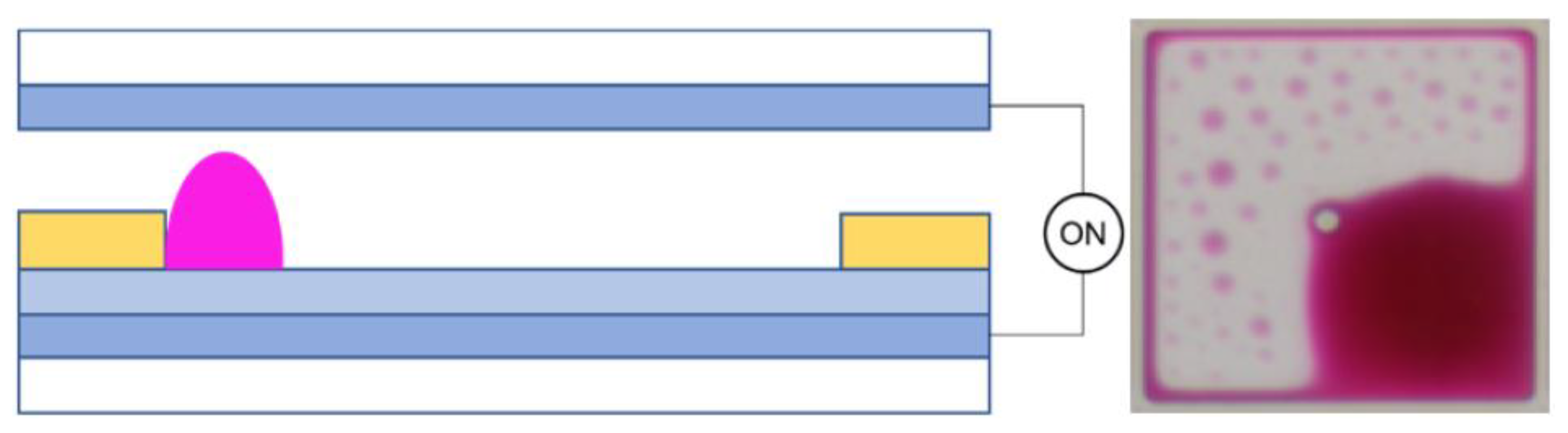 Micromachines 14 01123 g003