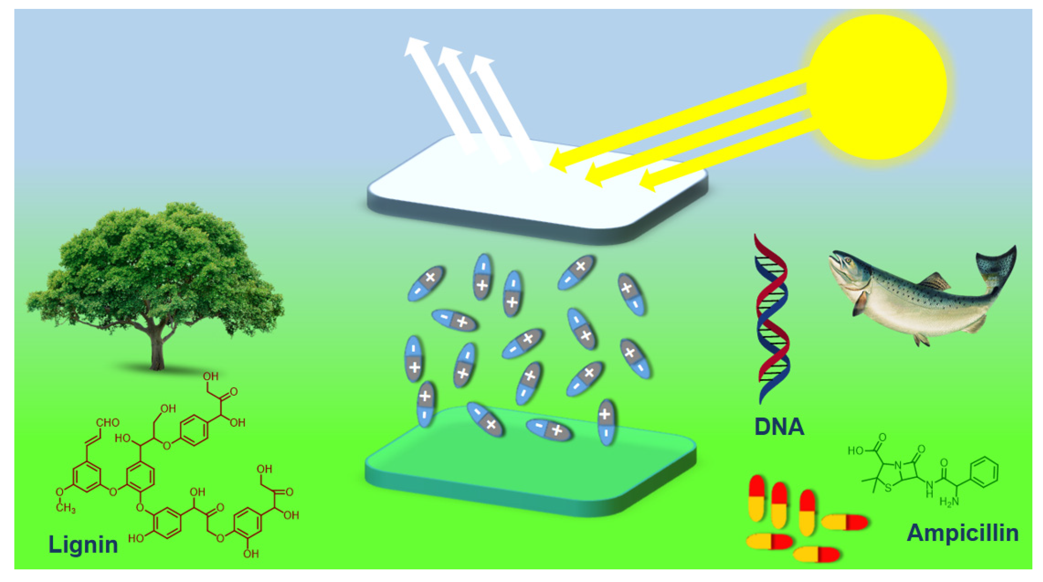 Micromachines 14 01171 g001 Micromachines 14 01171 g001