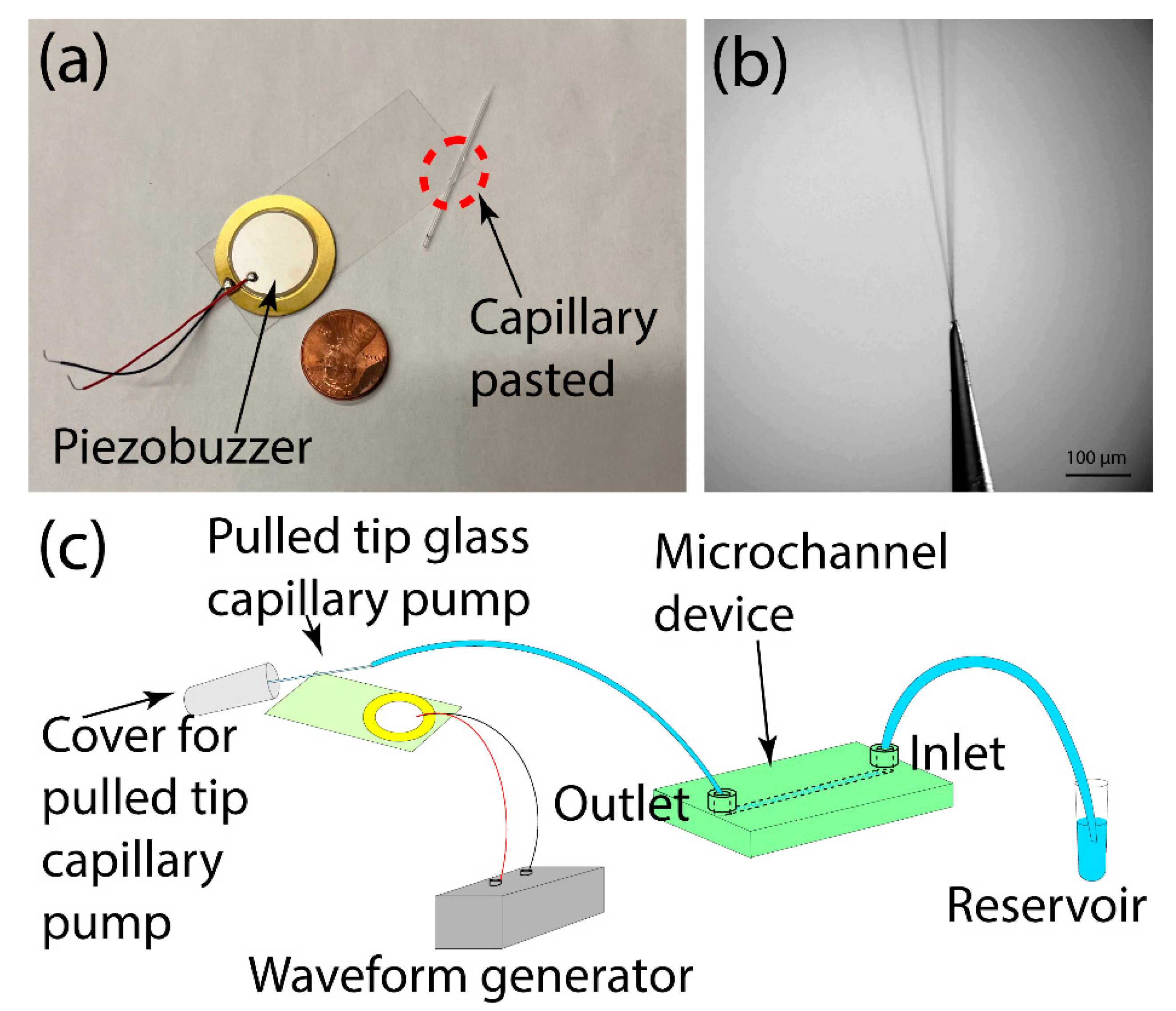 DIY Advanced Plasma Rife Machine 