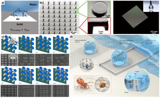 Water-repellent Hybrid Nanowire and Micro-scale Denticle Structures on  Flexible Substrates of Effective Air Retention