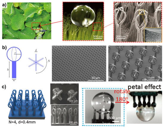 Water-repellent Hybrid Nanowire and Micro-scale Denticle Structures on  Flexible Substrates of Effective Air Retention