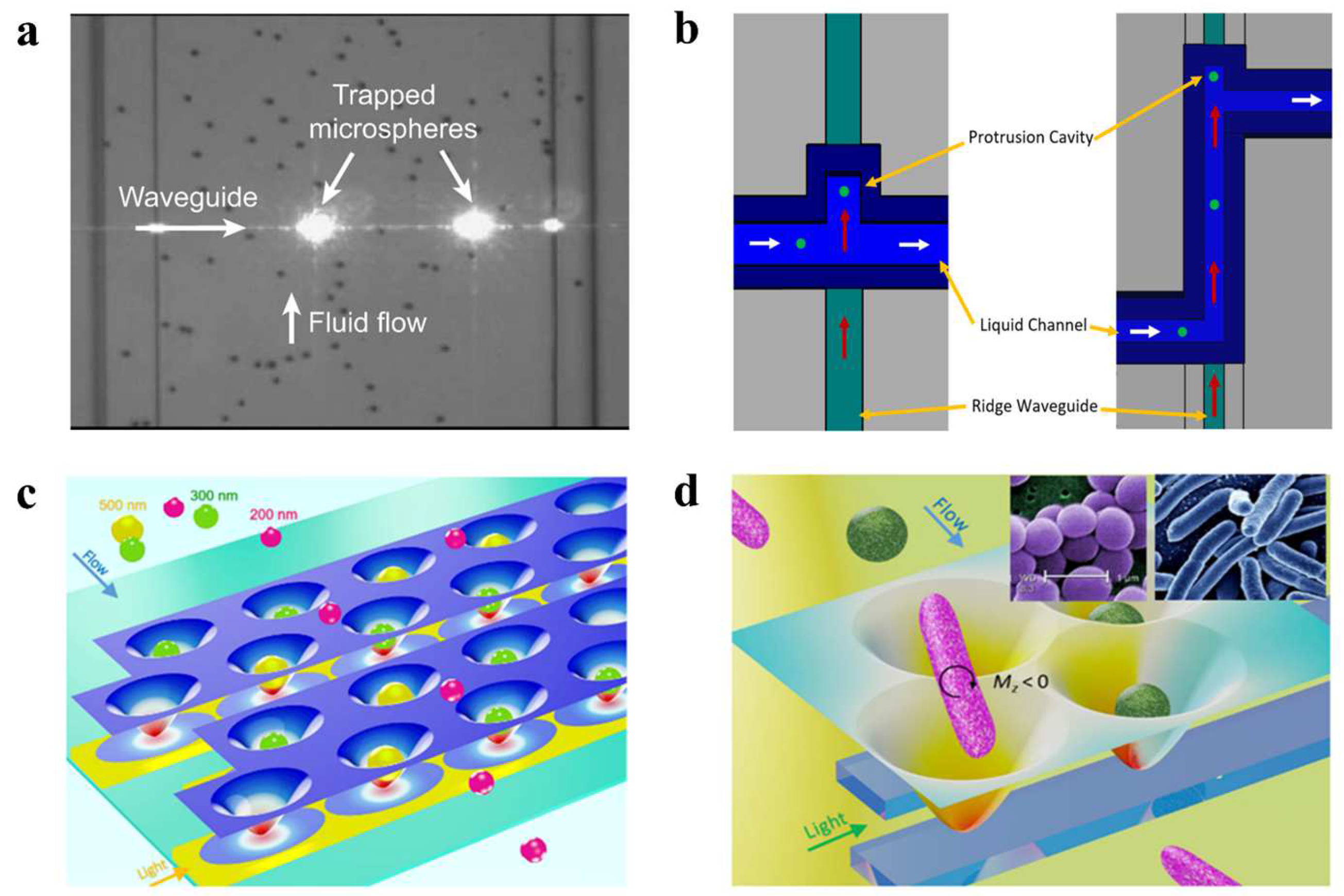 Micromachines 14 01326 g007